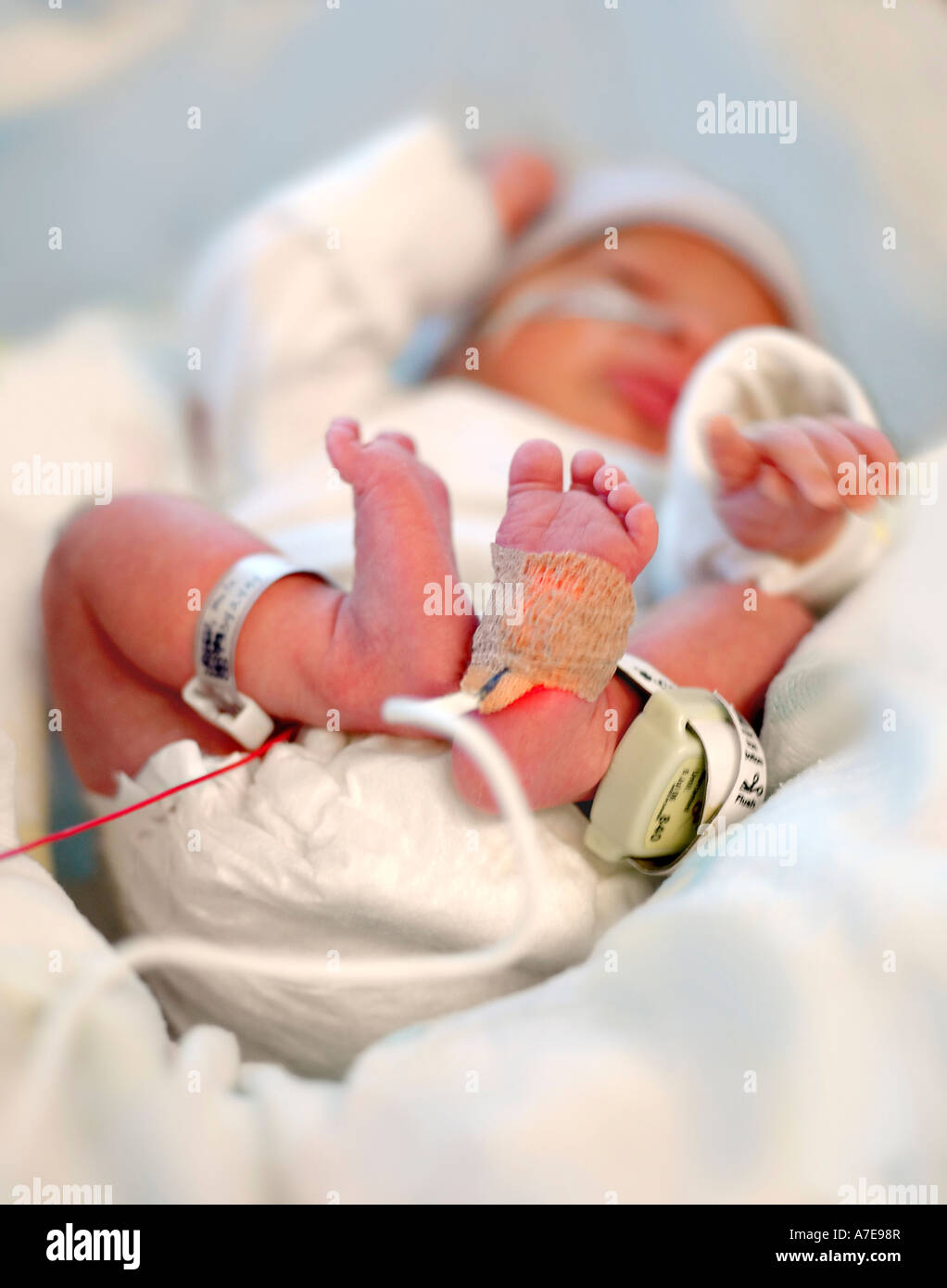 Un Bebe Premature Avec Un Moniteur Cardiaque Attache A Son Pied Photo Stock Alamy Un Bebe Premature Avec Un Moniteur Cardiaque Attache A Son Pied Photo Stock Alamy