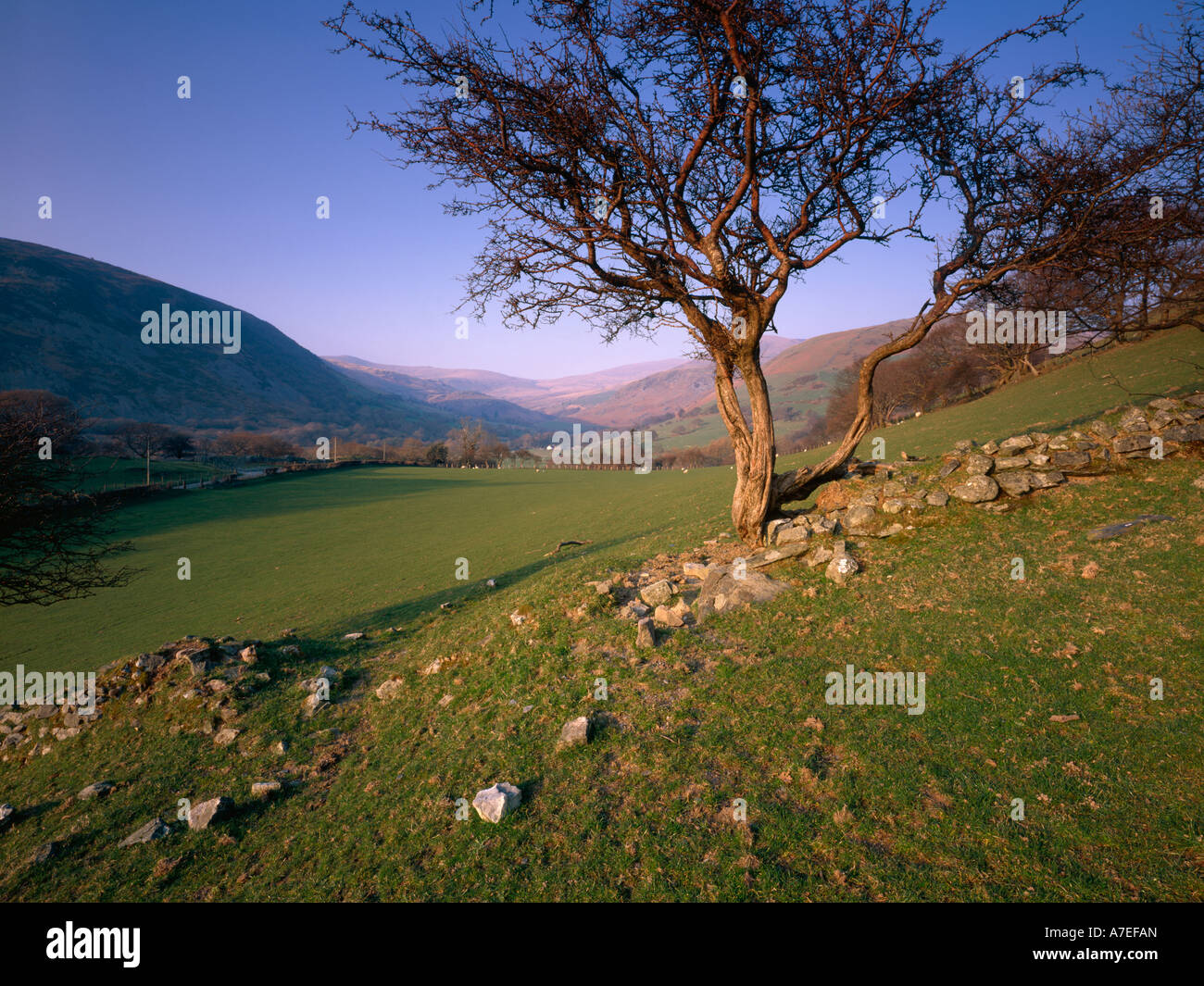 Fanion et y LLanfihangel Dysynni Afon Cadair Idris Cadir Vallée du Parc National de Snowdonia au Pays de Galles UK Banque D'Images