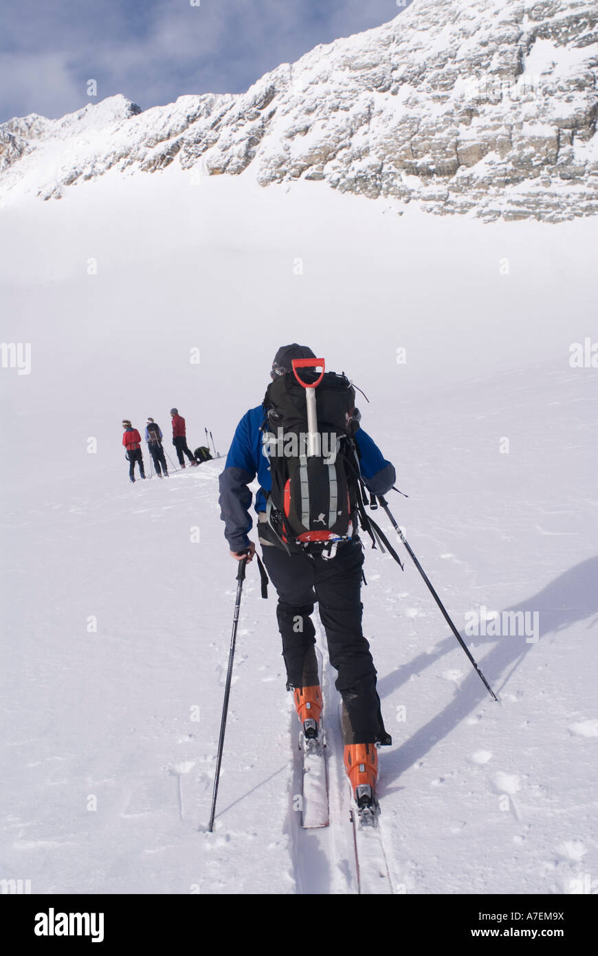 L'écorcher l'homme Illicilliwaet sur le Glacier, secteur du col Rogers, Selkirk, Canadian Rockies, British Columbia, Canada Banque D'Images