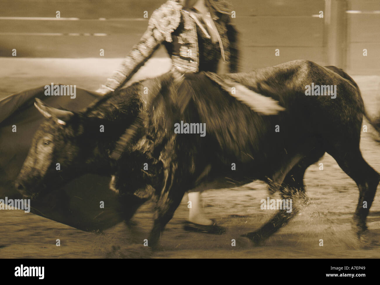 Le Mexique, Jalisco, Puerto Vallarta. Le noir et blanc tauromachie matador. Banque D'Images