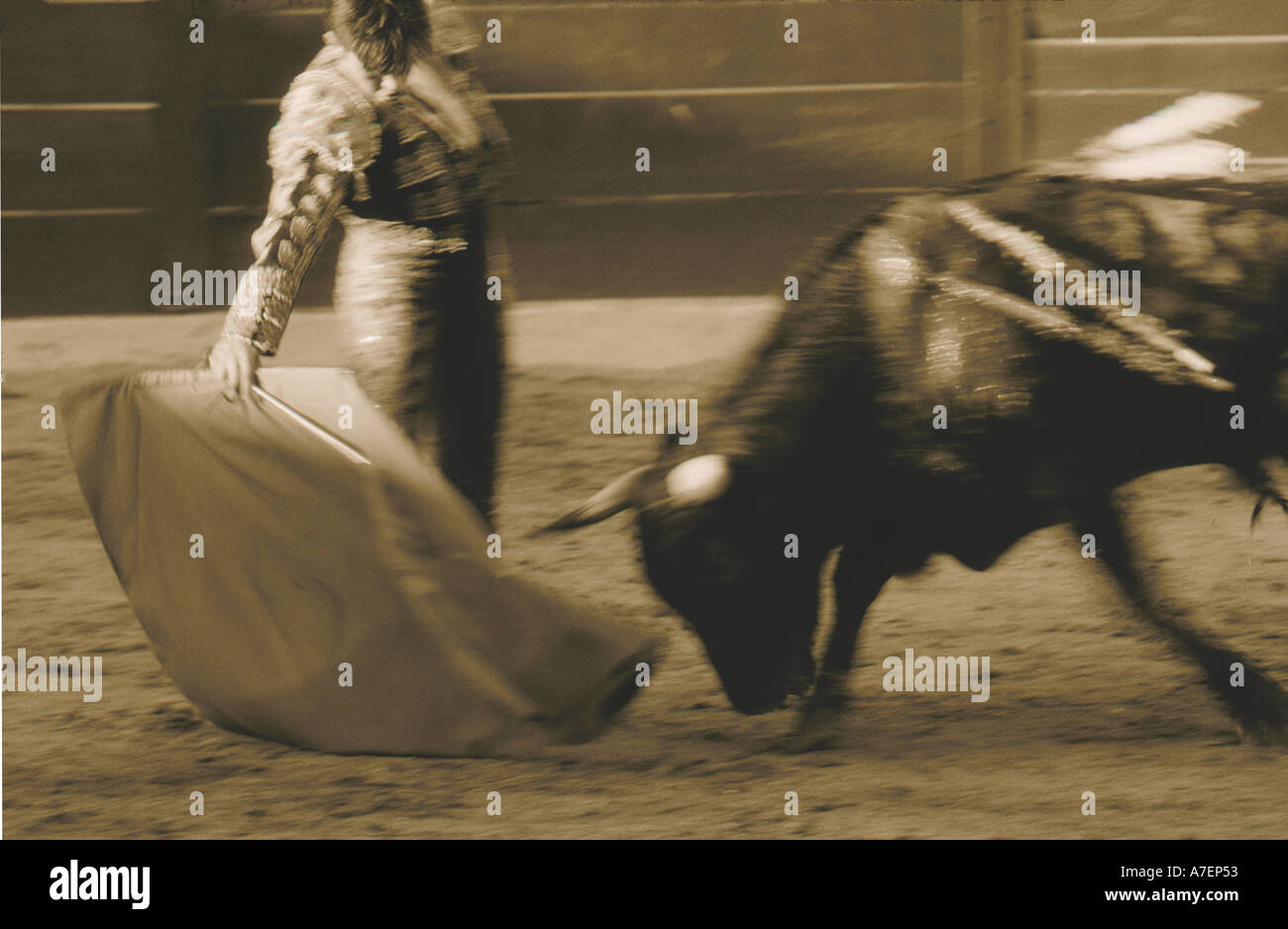 Le Mexique, Jalisco, Puerto Vallarta. Matador fools le taureau à une corrida, noir et blanc. Banque D'Images