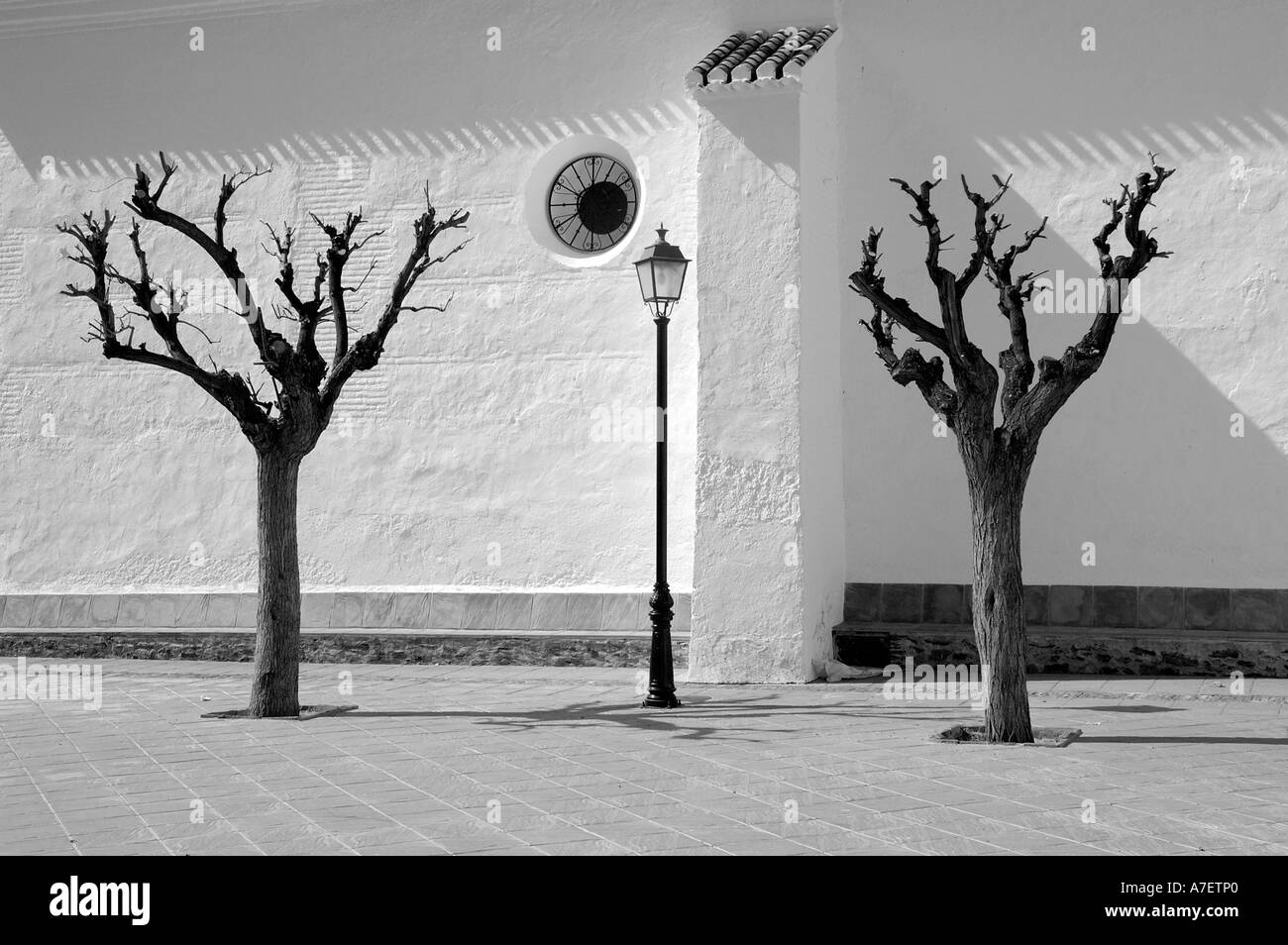 Les arbres en place en Andalousie Espagne église Bubión Banque D'Images