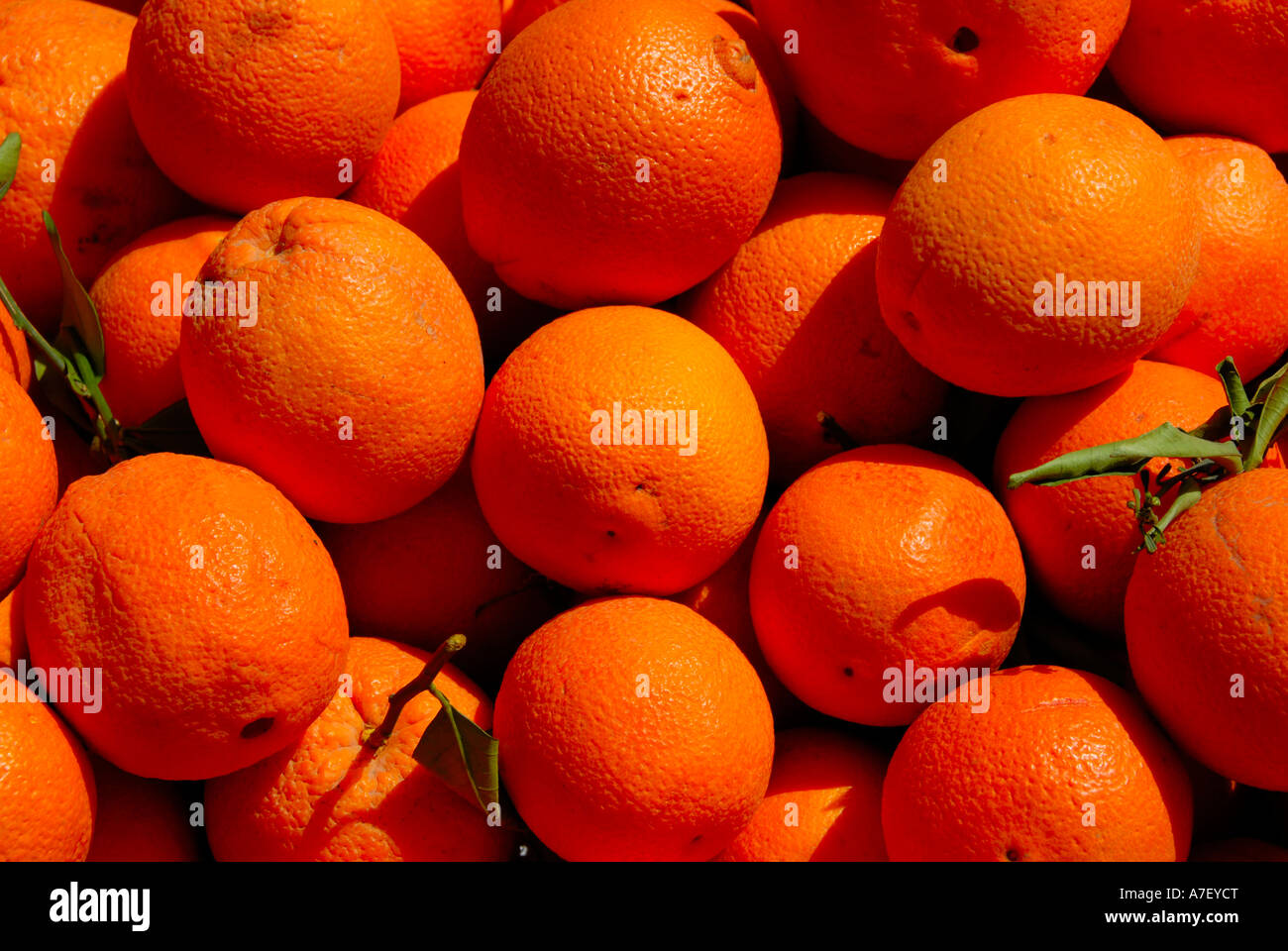 Oranges orange à un marché Casablanca Maroc Banque D'Images