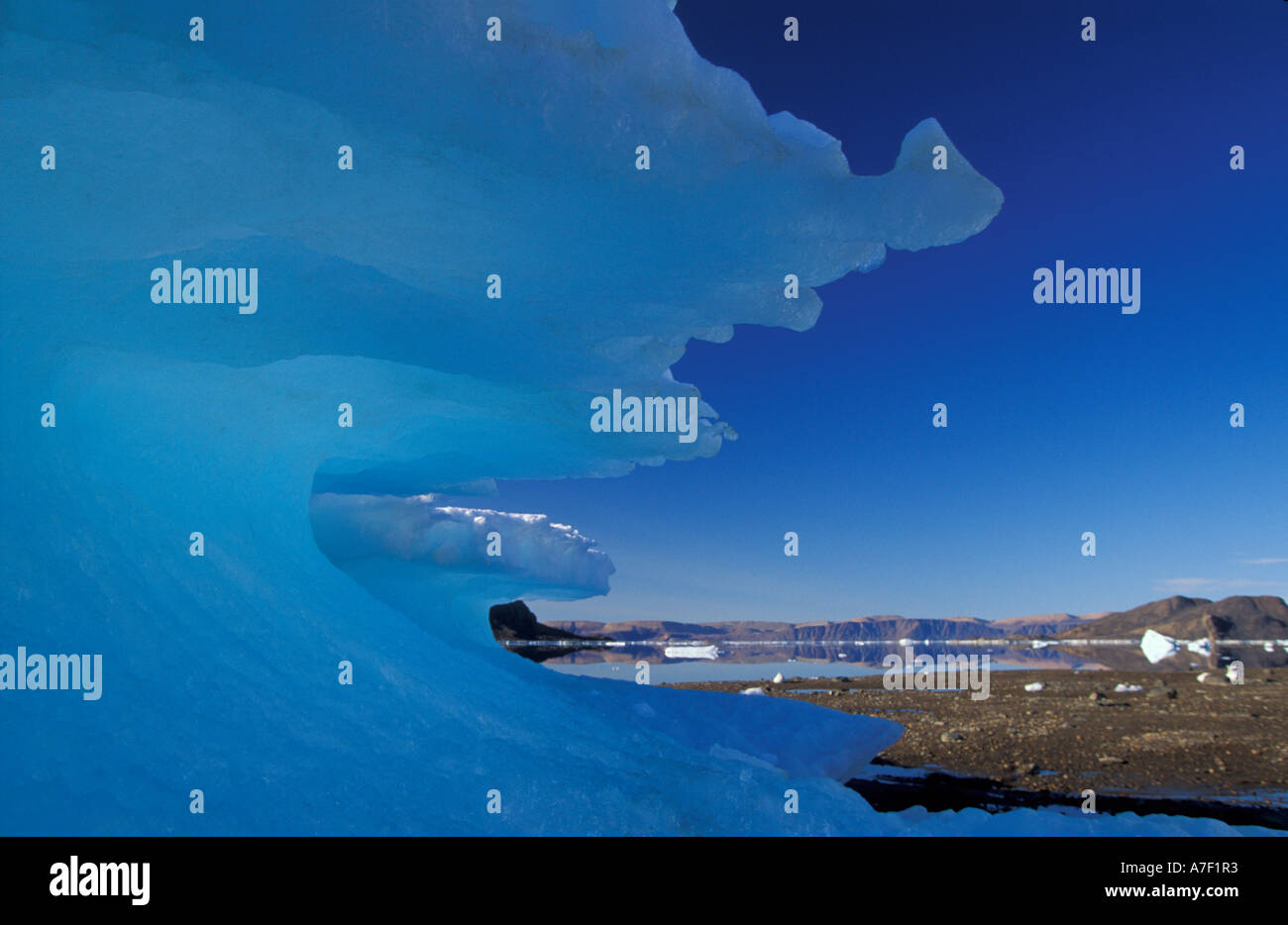 Alexandra Fiord, l'île d'Ellesmere dans l'Arctique canadien Banque D'Images