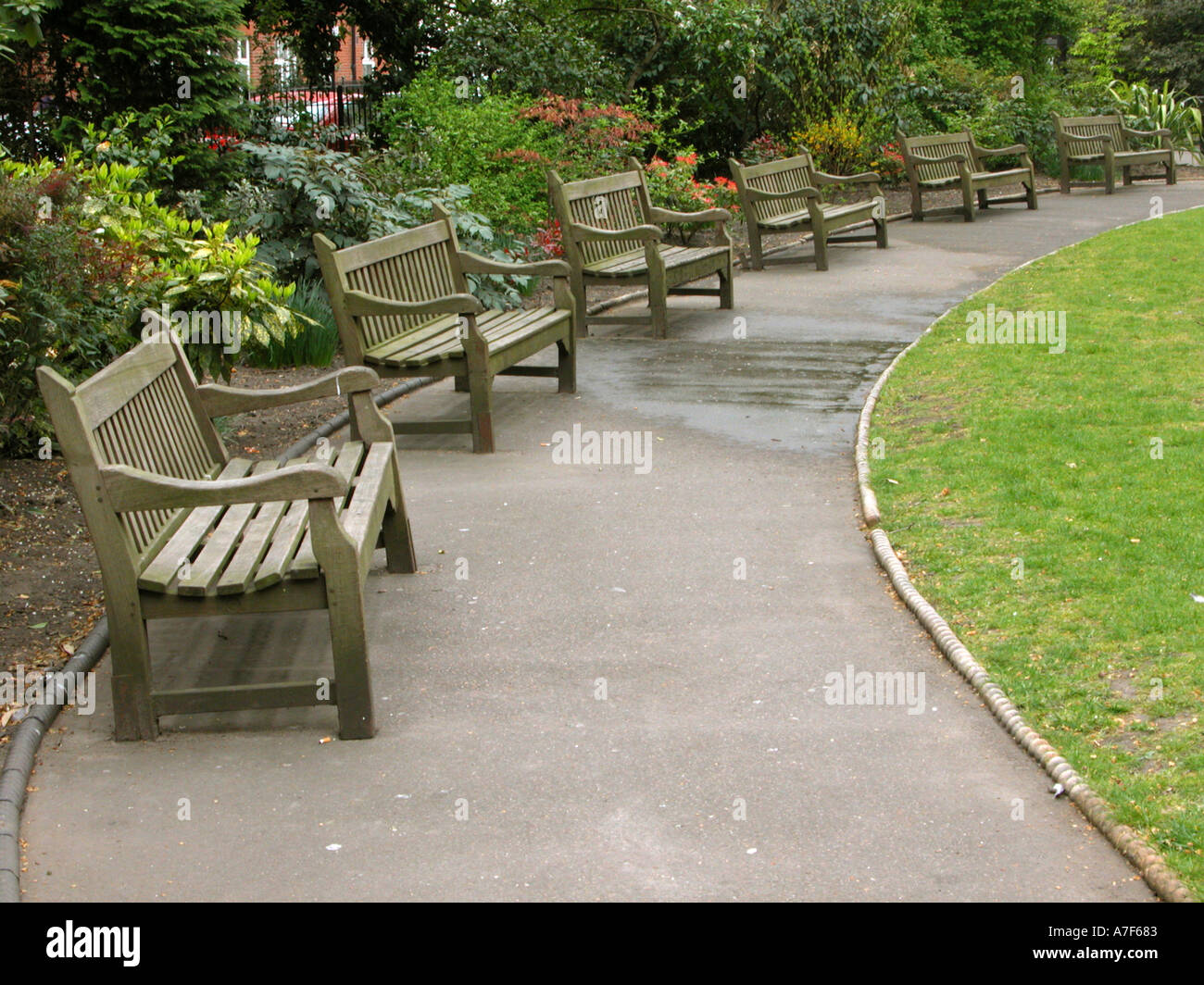 Rangée de bancs en bois dans un jardin public Banque D'Images