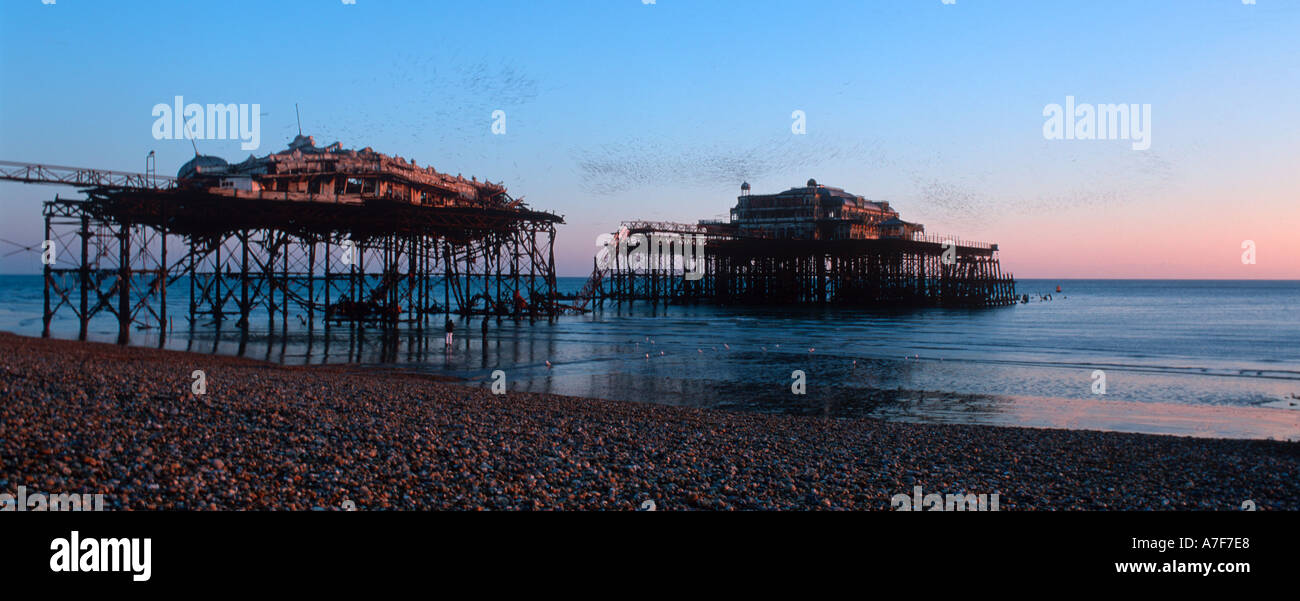 Les starlings retournant dans la ville de Brighton, Angleterre, Angleterre, West Pier Banque D'Images