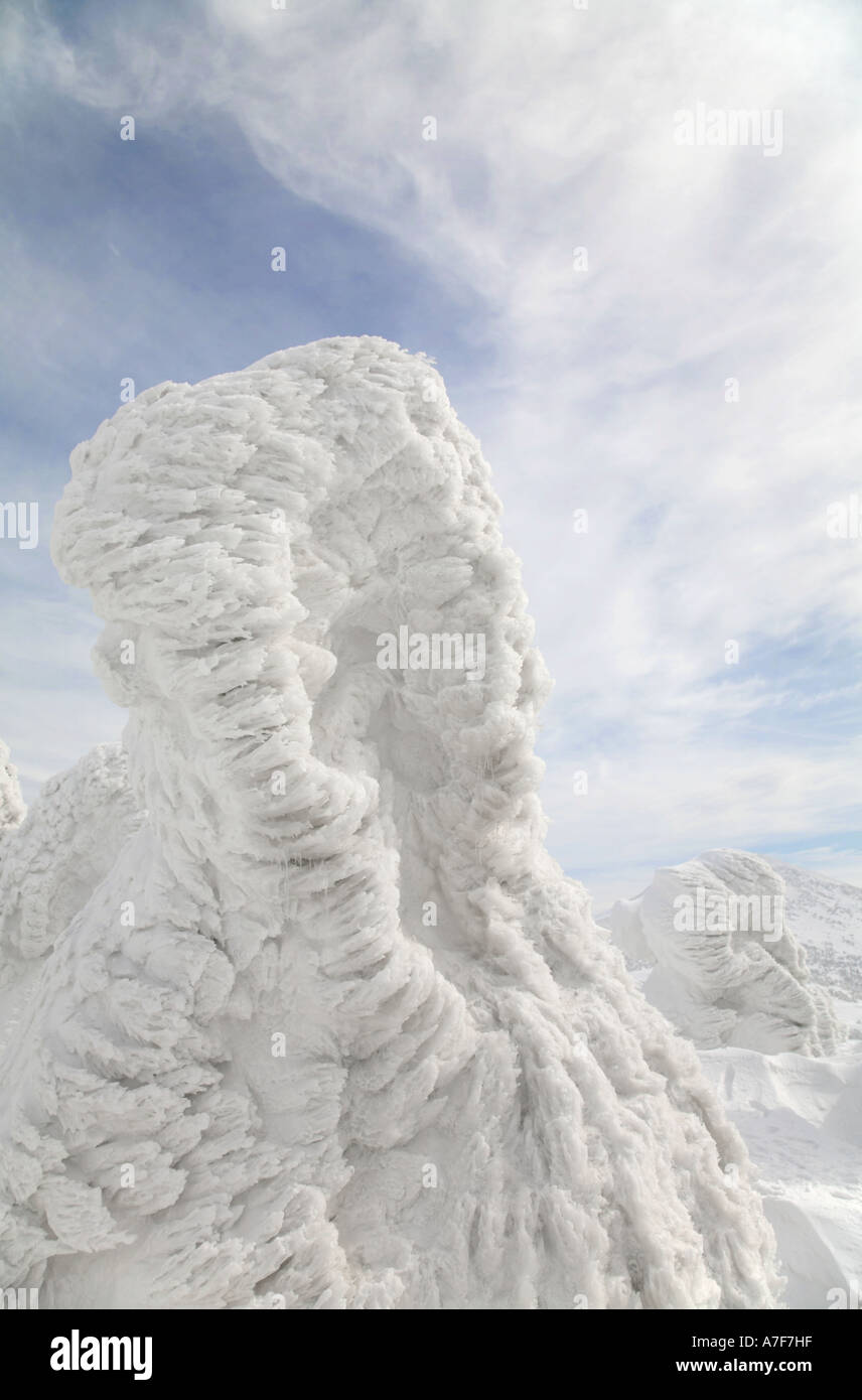 Monstres de neige - Arbres de neige bloqué sur d'eux en hiver Mont Hakkoda Japon Banque D'Images