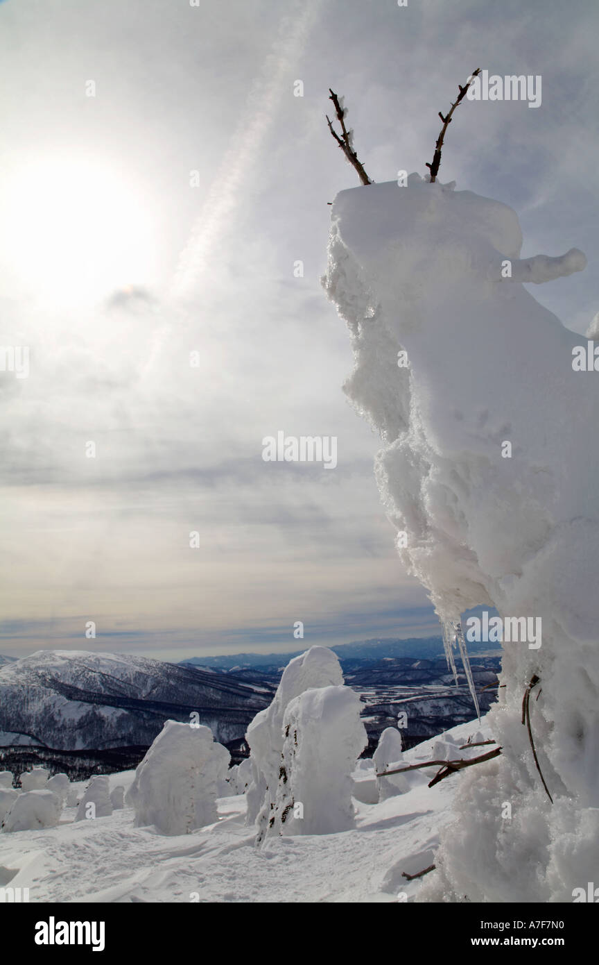 Monstres de neige - Arbres de neige bloqué sur d'eux en hiver Mont Hakkoda Japon Banque D'Images