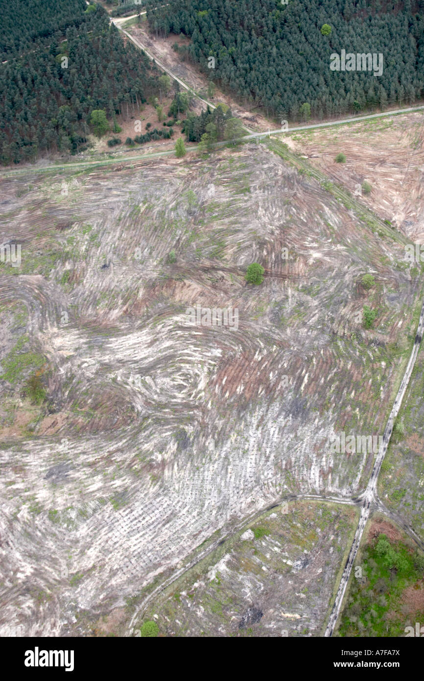 Vue aérienne oblique de haut niveau au nord-est du bois abattu clair ou la pinède à Bracknell Forest au nord de Camberley Surrey Banque D'Images