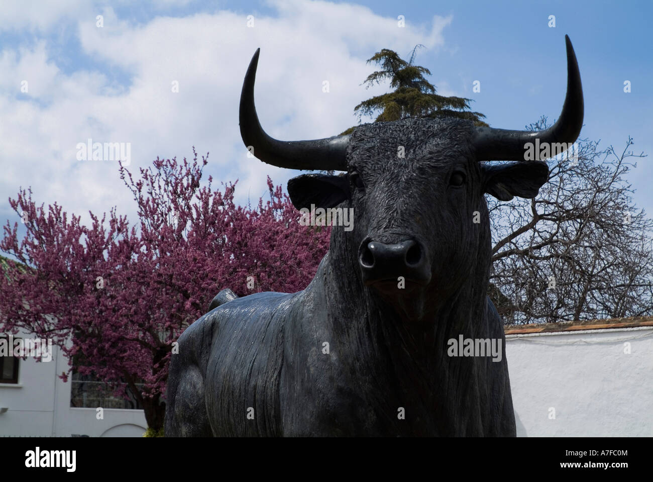 Les Arènes de Ronda Espagne dh Statue de taureau à l'extérieur du stade de la Tauromachie Banque D'Images