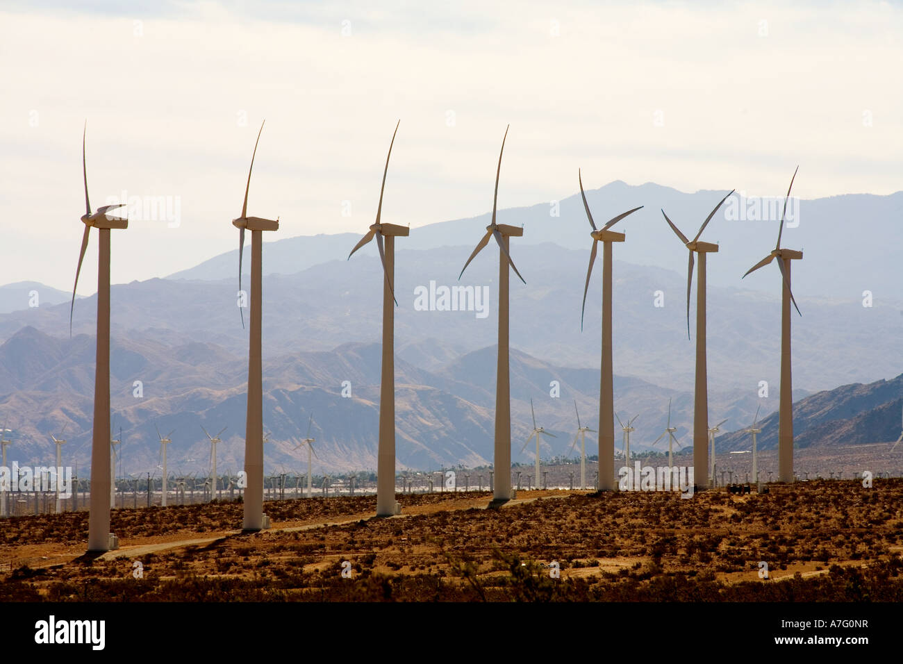 Plus de 4000 groupes électrogènes fonctionnent dans le Col de San Gorgonio ferme éolienne près de Palm Springs en Californie Banque D'Images