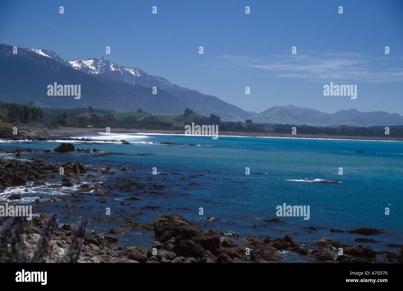 Péninsule de Kaikoura Nouvelle-Zélande Banque D'Images