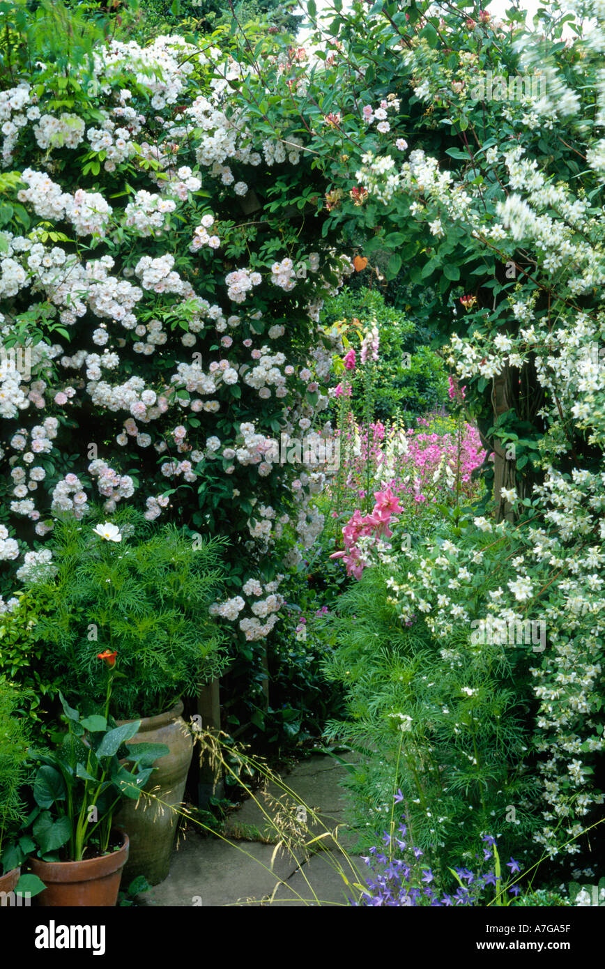 Rose Cottage Garden trellis Arch archway Rosa 'PAUL'S Himalayan Musk' Rosiers grimpants philadelphus fleurs parfumées afficher par Banque D'Images