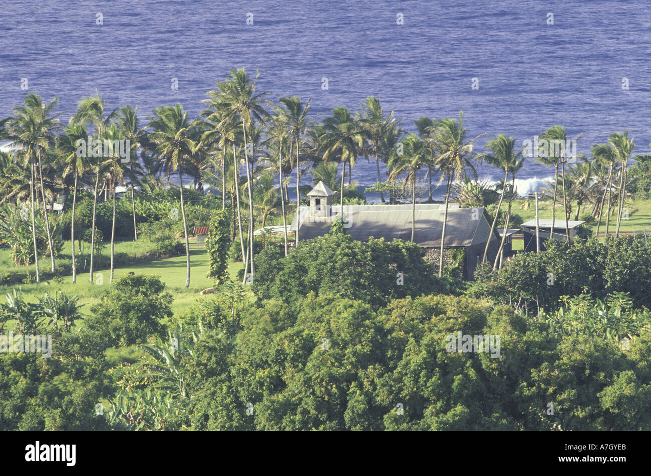 N.A., USA, Hawaii, Maui, vieille église en pierre des champs et de palmiers ; Keanae Peninsula sur Hana Highway Banque D'Images
