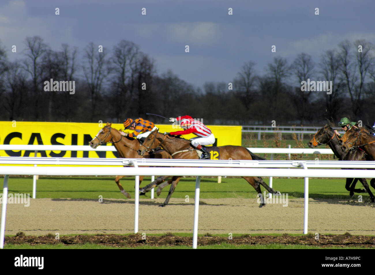 Fantaisiste en rouge Golden Dixie En orange les courses de chevaux sur la piste tous temps à Kempton Park Banque D'Images