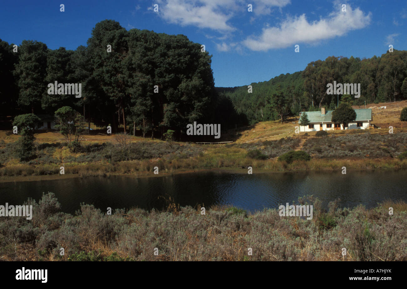 Chelinda Camp, Nyika National Park, Malawi Banque D'Images