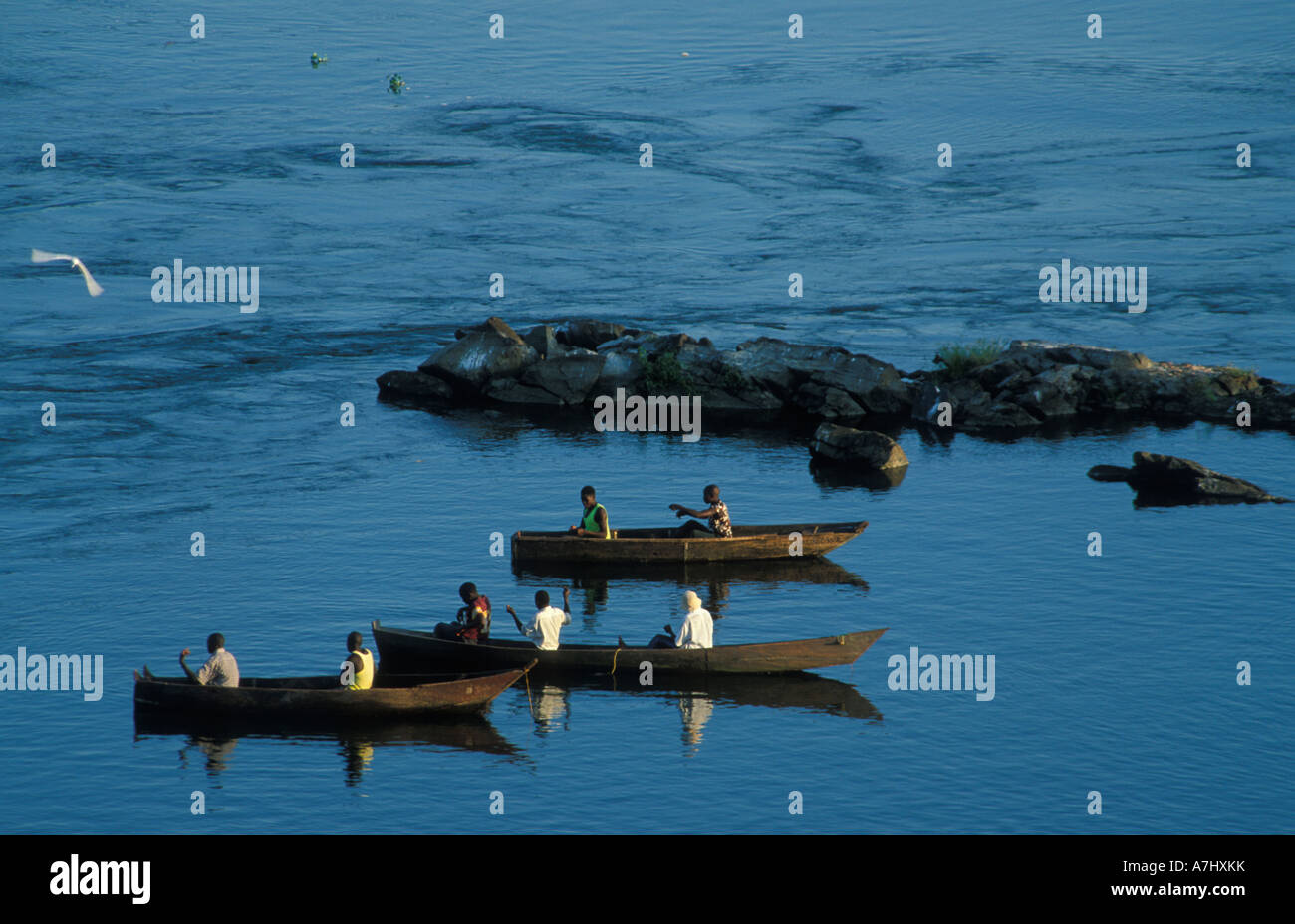 Des barques de pêche sur la source du Nil l'emplacement où Speke aperçue pour la première fois la source du Nil en Ouganda Jinja 1862 Banque D'Images