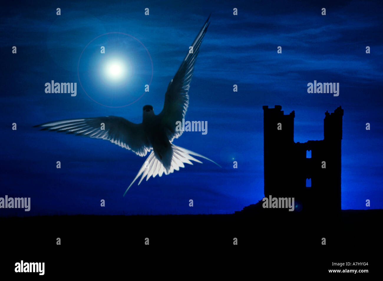 Gardien de la garder Banque D'Images