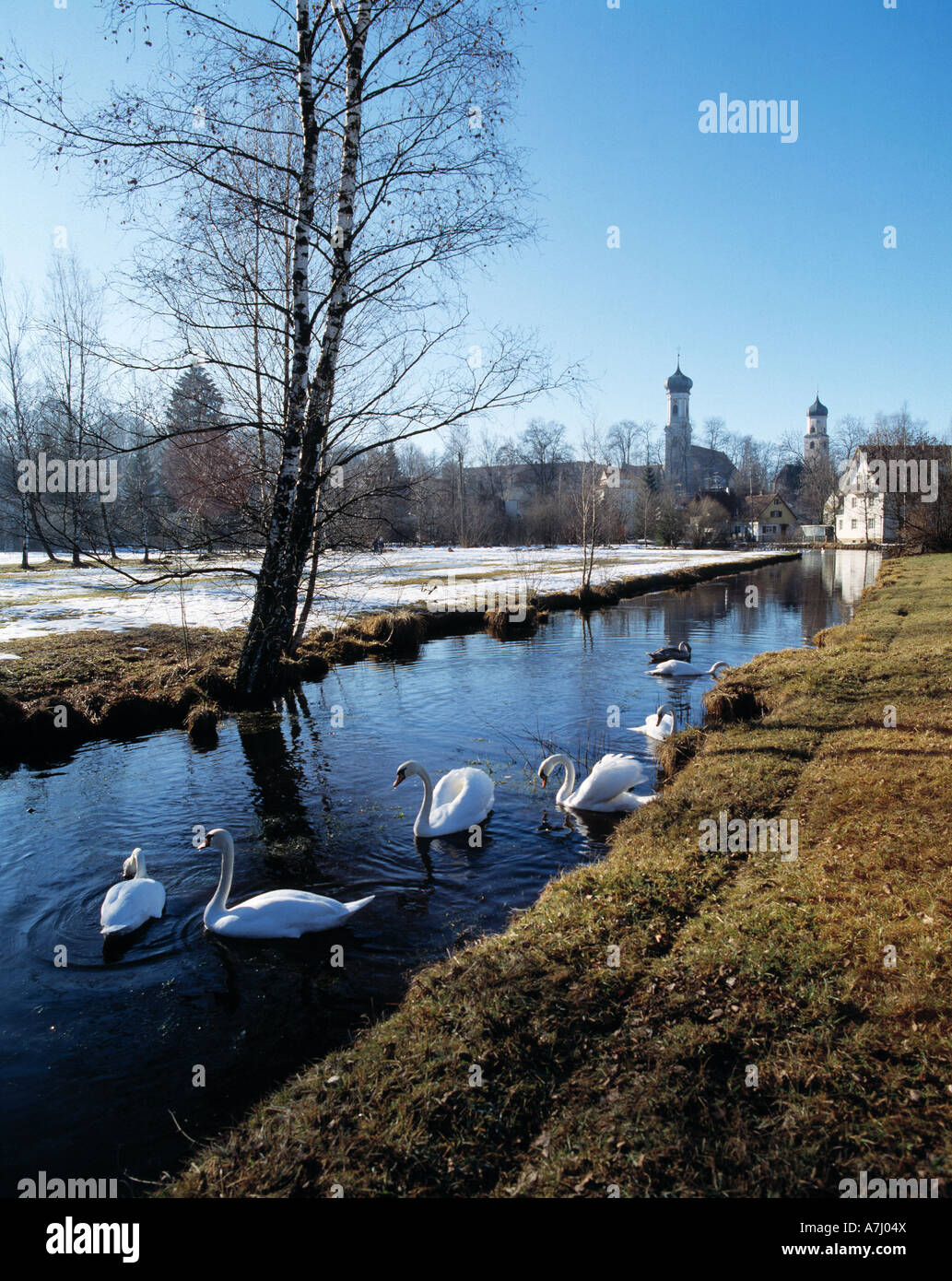 Winterliche Flusslandschaft mit der Ach, Georgkirche Schwaenen St. und Nikolaikirche, Isny im Allgaeu, Bade-Wurtemberg Banque D'Images