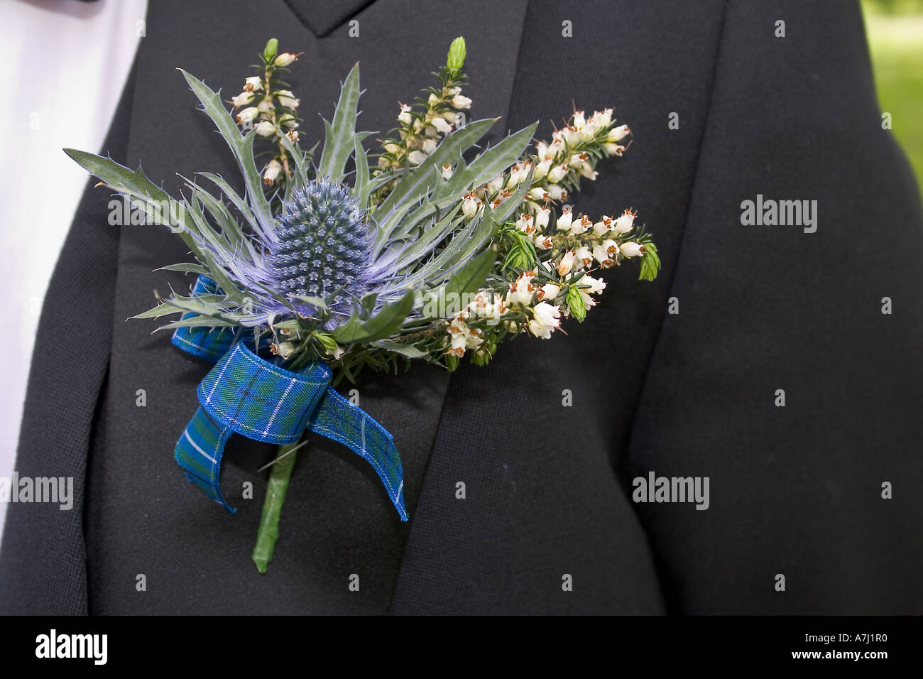 Écossais grooms mariage jour florale boutonnière, butonnières, généralement porté par les hommes dans la partie de la mariée: Le groom, meilleur homme et hushers.grooms weddin Banque D'Images