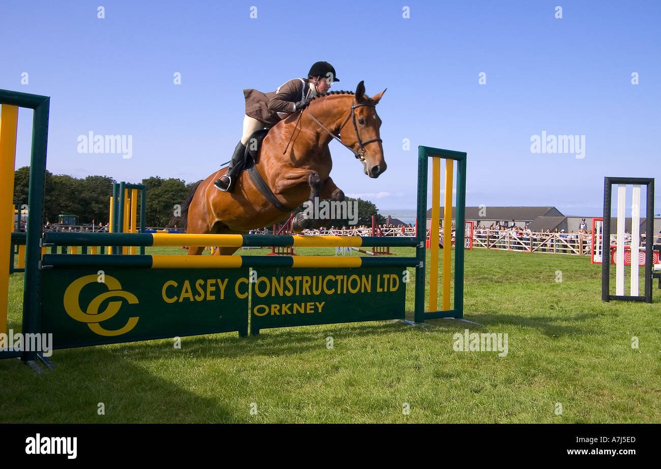 dh County Show KIRKWALL ORKNEY Brown concours de saut à cheval événement clôture show Ground ring uk Banque D'Images