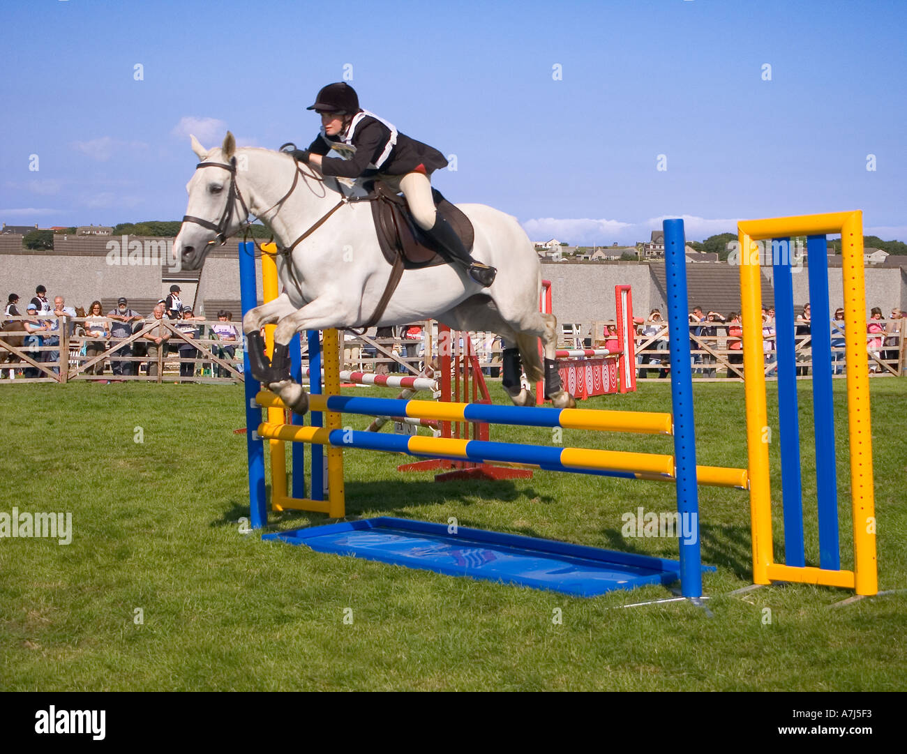 dh County Show KIRKWALL ORKNEY White Pony Horse Jumping événement sur la clôture de terrain anneau fille royaume-uni saut arène adolescents sport adolescent Banque D'Images