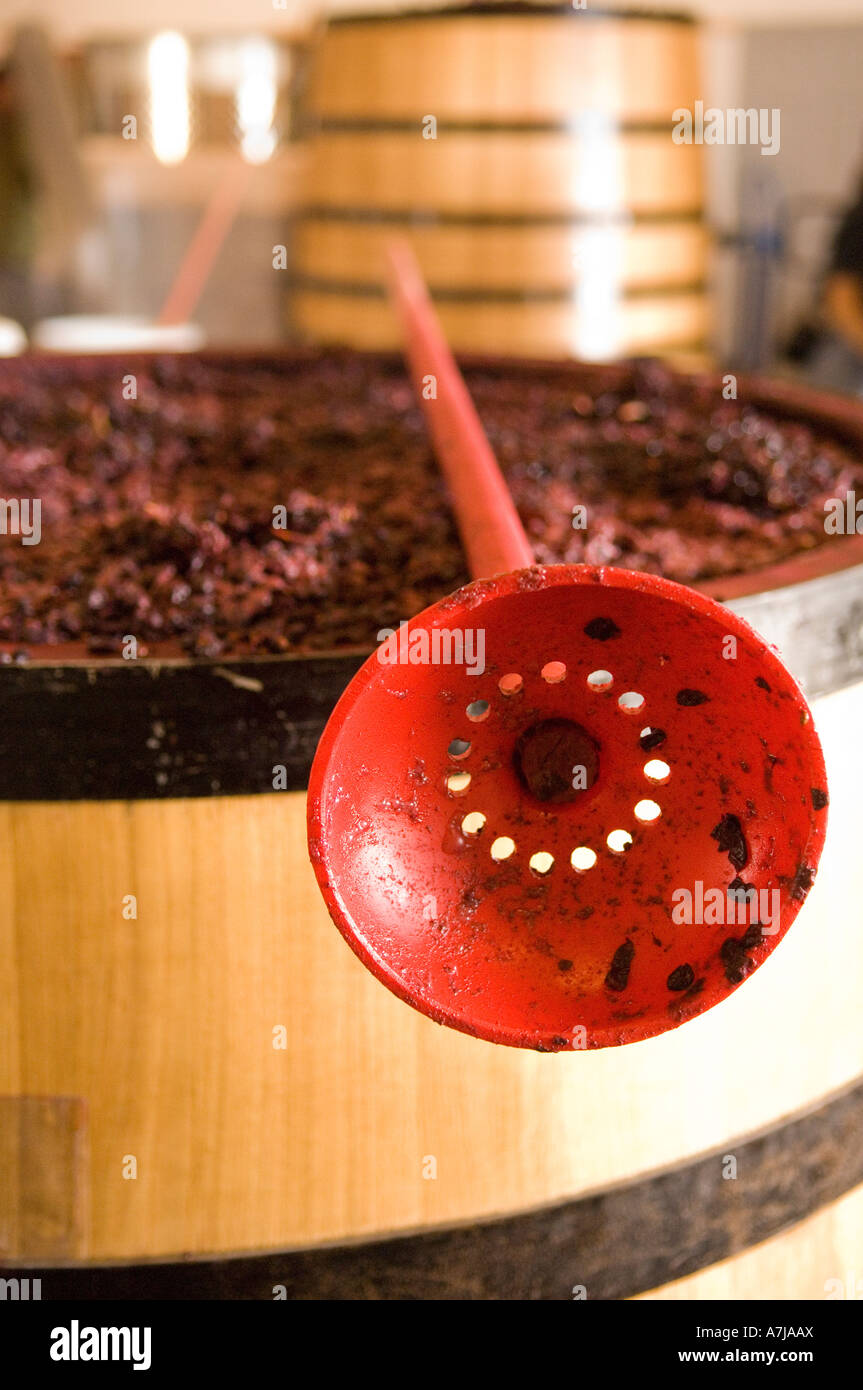 L'outil de dénudage sur cuve de fermentation en bois Bergstrom Winery Oregon Banque D'Images