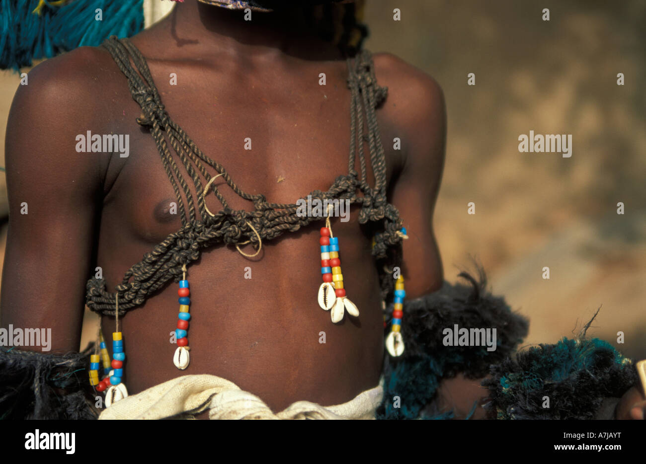 Danseur masqué à la Dama festival, Ireli village en dessous de la falaise de Bandiagara, pays dogon, Mali Banque D'Images