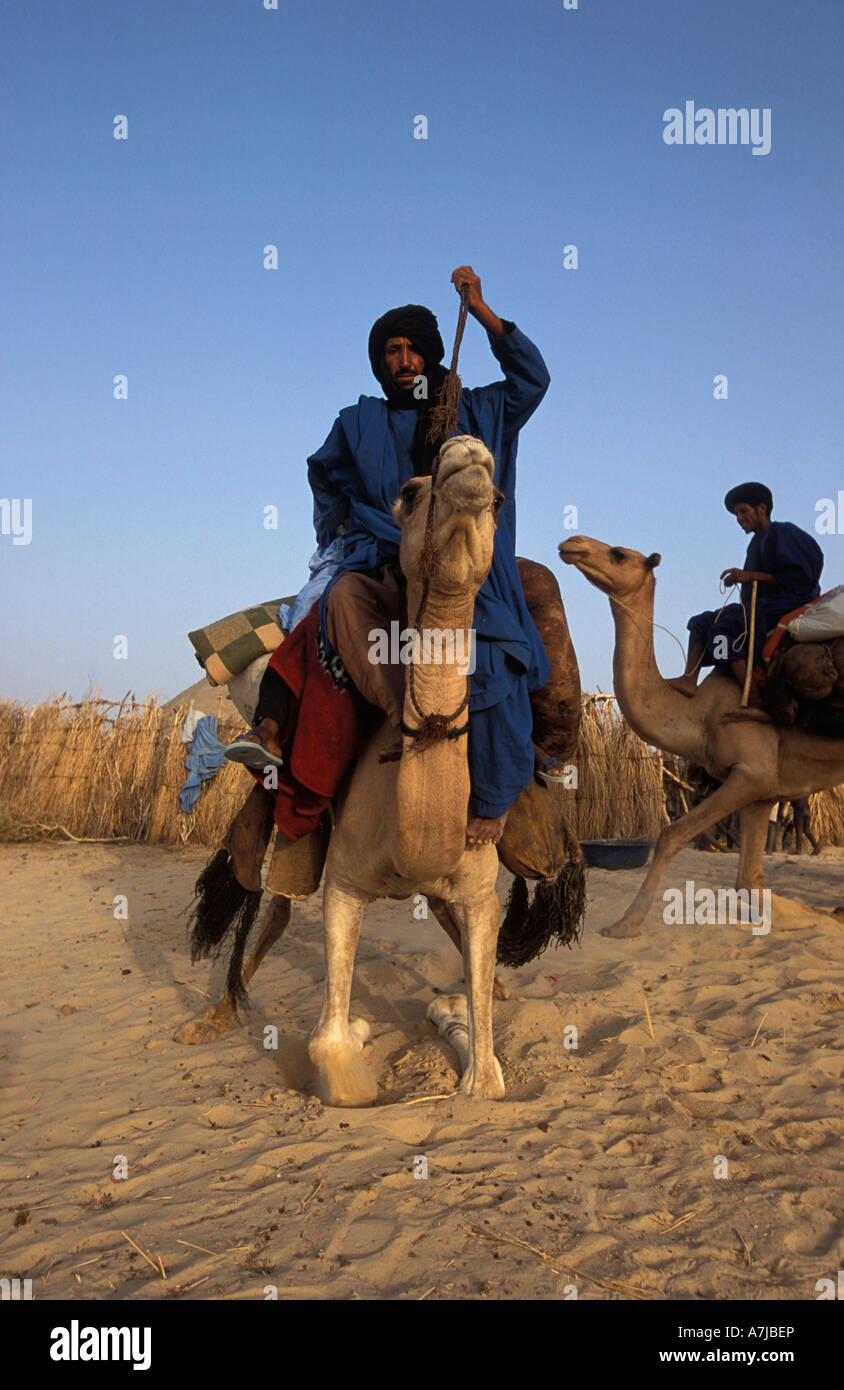 Montage touareg son chameau dans le désert du Sahara, Tombouctou, Mali Banque D'Images