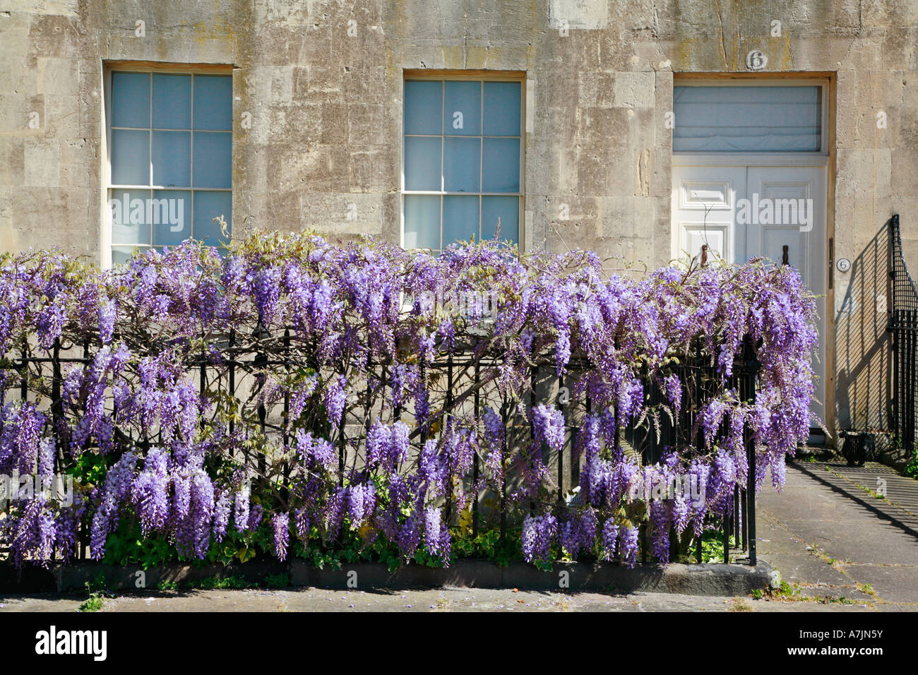 Garde-corps sous les glycines en face d'une maison dans le Royal Crescent de Bath Avon Banque D'Images