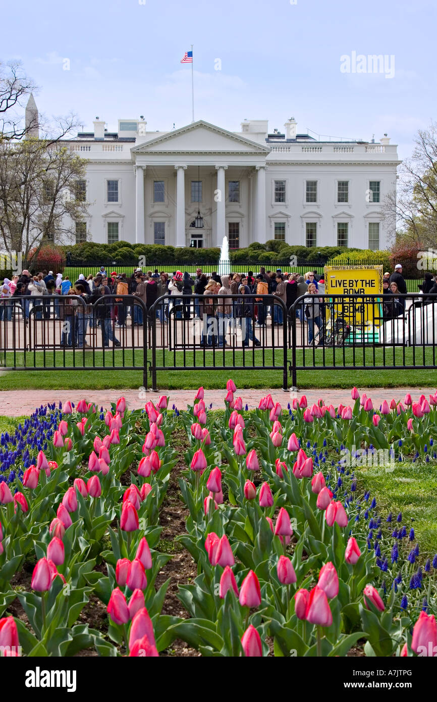 Maison Blanche de Lafayette Park, Washington DC Banque D'Images