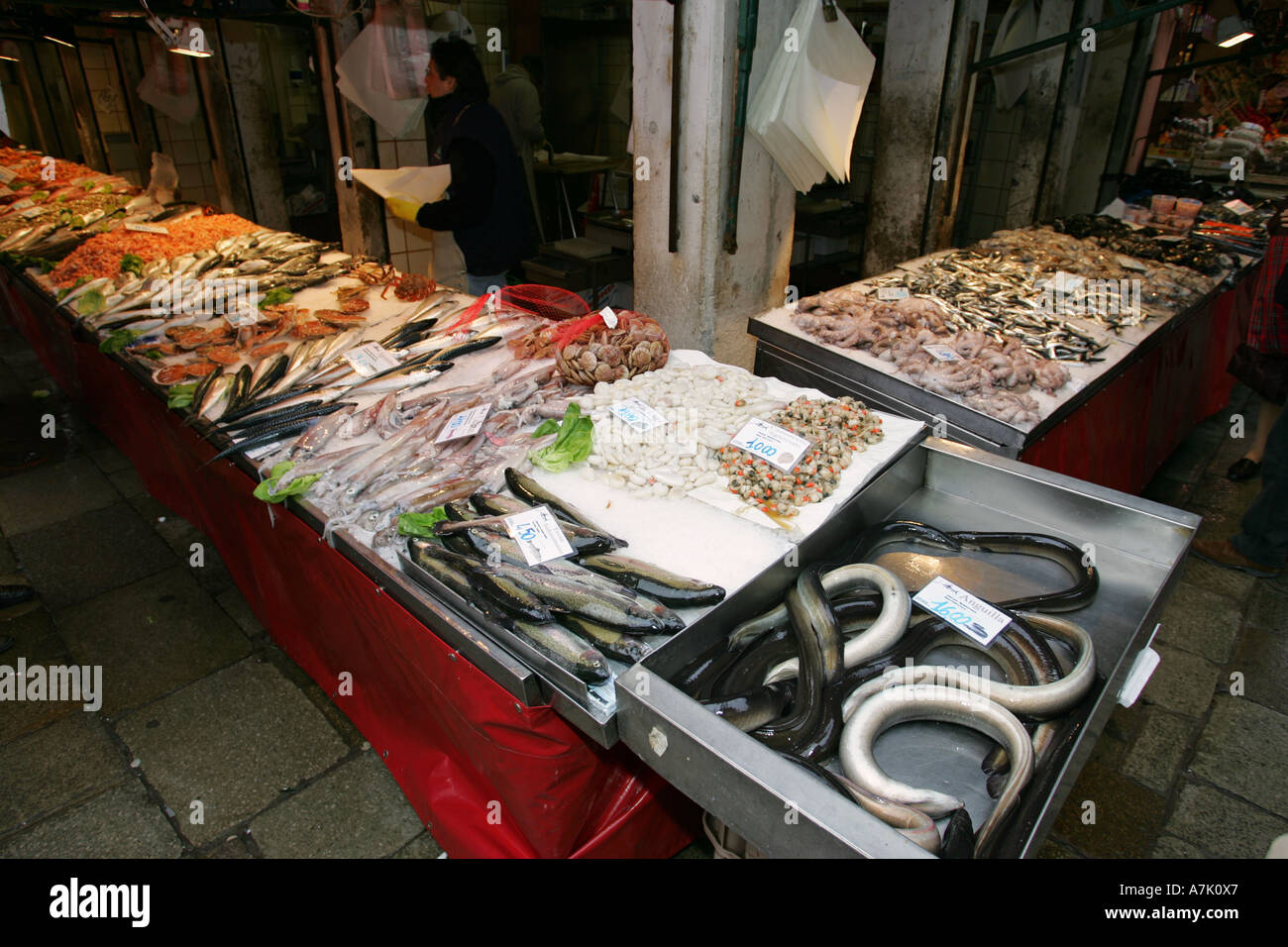 Les anguilles géantes et de poisson frais à la vente à ce célèbre marché aux poissons de Venise di Rialto Venise Vénétie Italie Pescaria Europe EU Banque D'Images