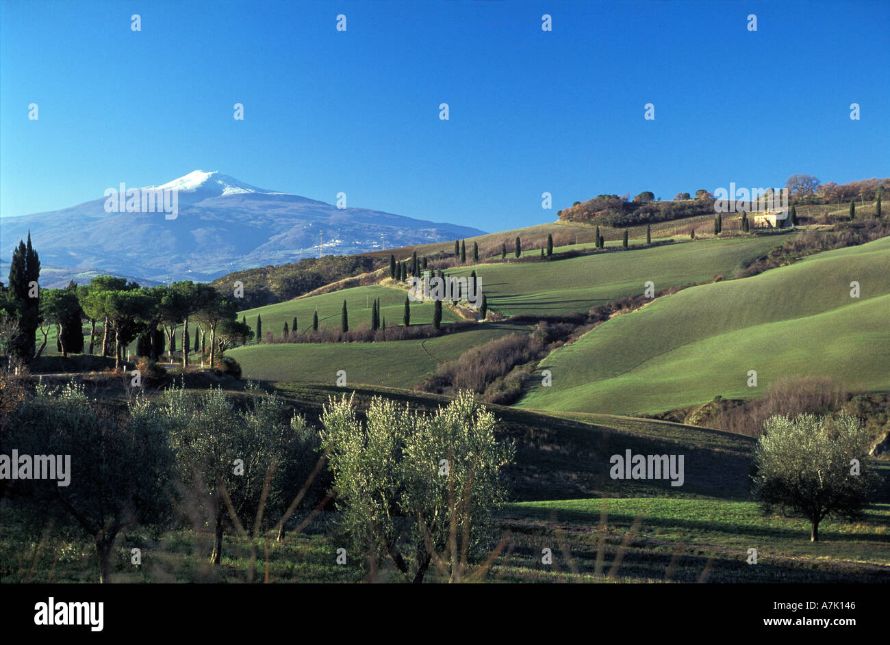 Monte Amiata et la Val d'Orcia en Toscane, Italie Banque D'Images