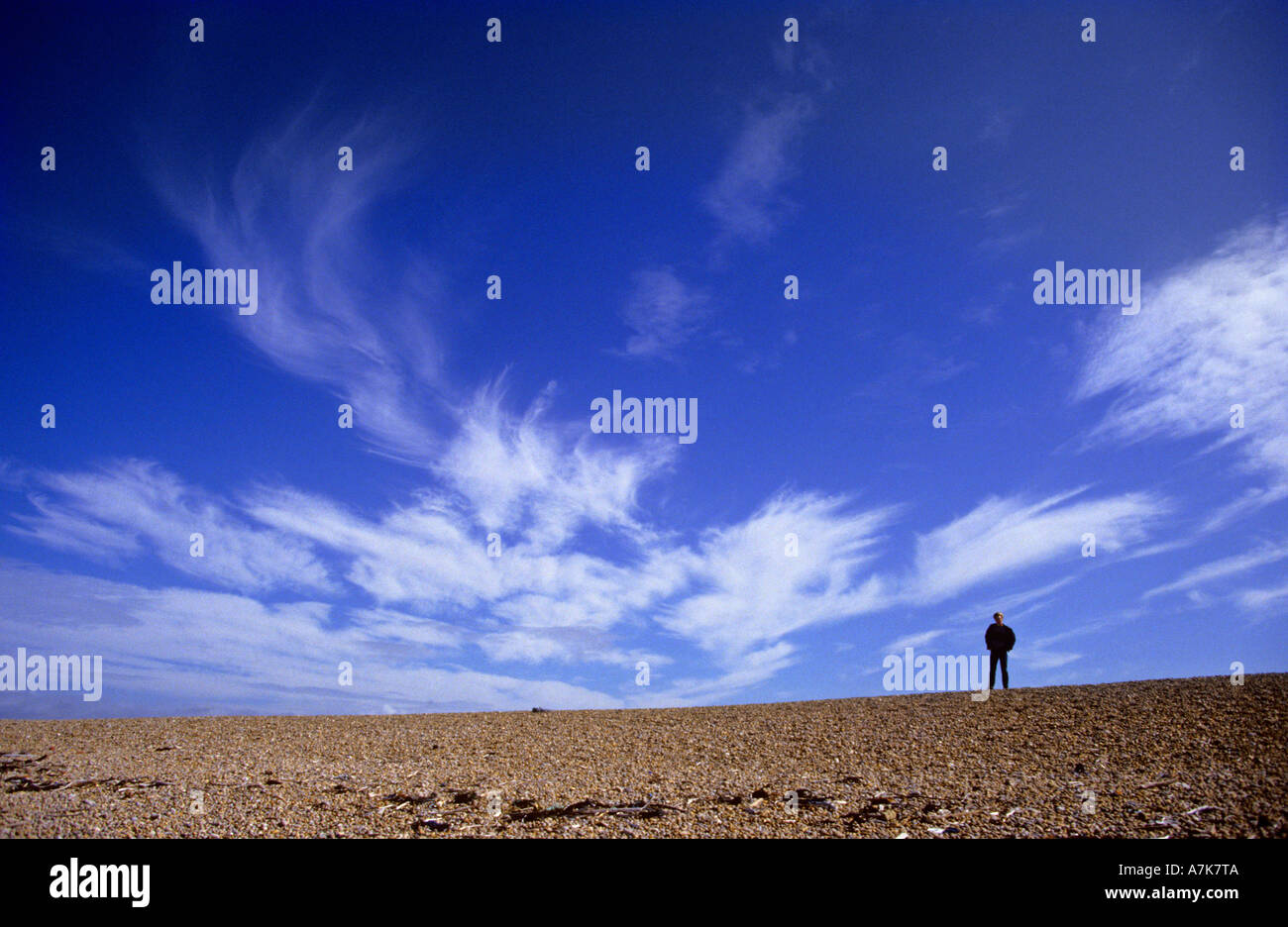 Homme debout sur l'horizon sur la côte pavée à plage de Chesil Dorset angleterre Europe Banque D'Images