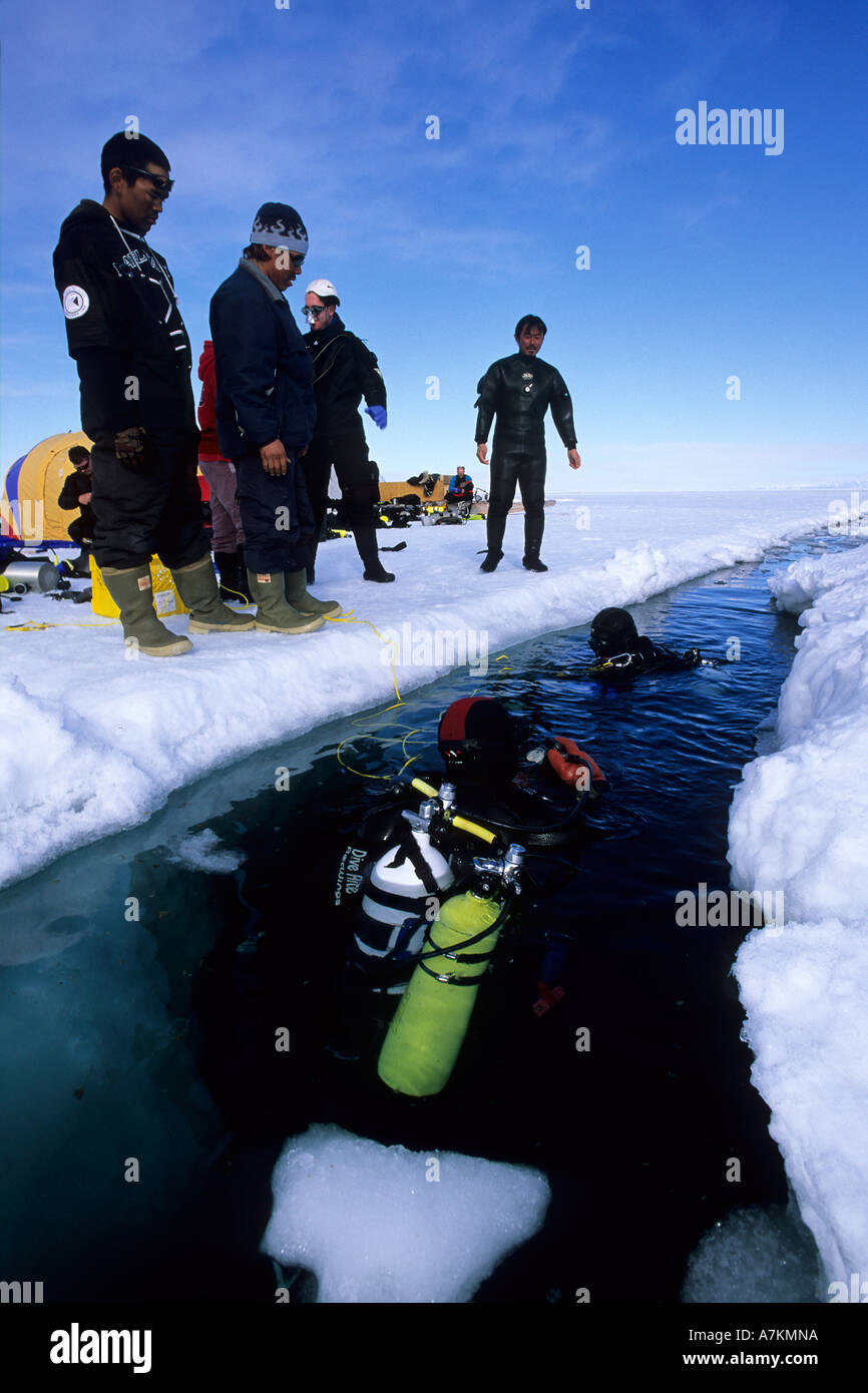 Les plongeurs se préparer pour la plongée sous-glace de l'Arctique du Nunavut Canada Lancaster le nord de l'île de Baffin Banque D'Images