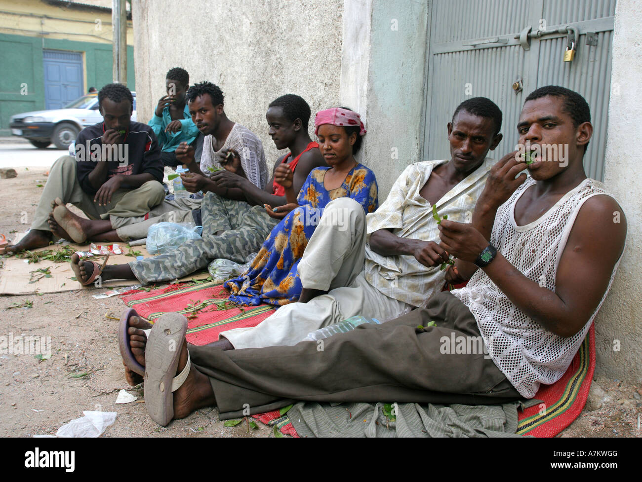 Éthiopie - les hommes de mâcher de chat dans les rues de Dire Dawa Banque D'Images