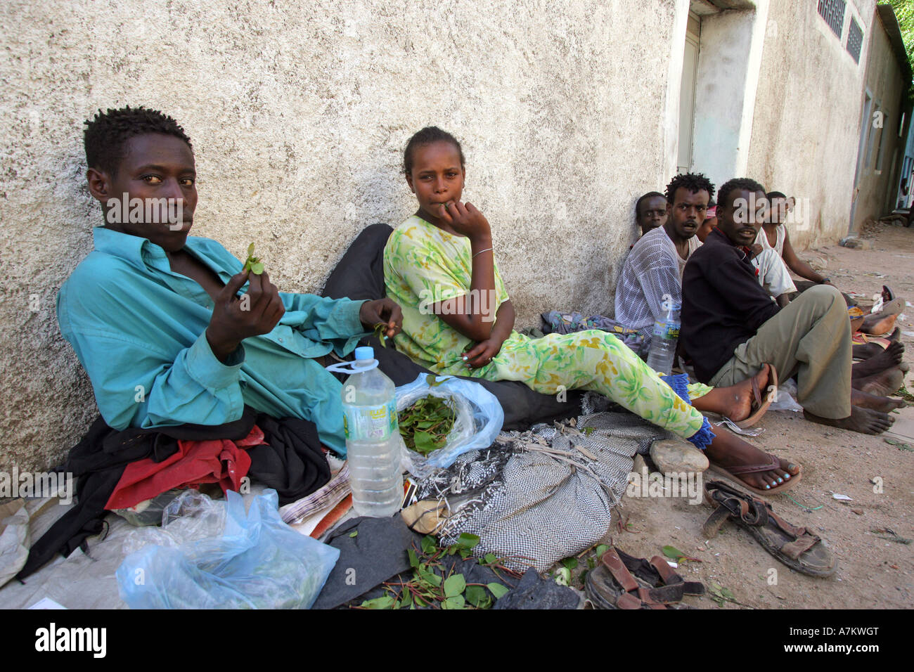 Éthiopie - les hommes de mâcher de chat dans les rues de Dire Dawa Banque D'Images