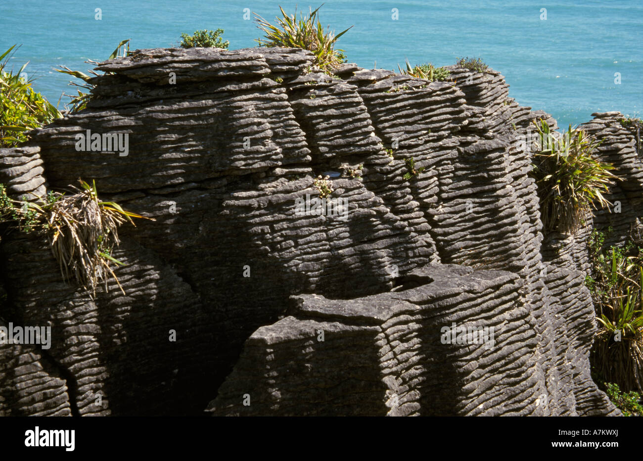 Pancake Rocks Punakaiki Nouvelle-zélande océan des couches de calcaire sculpté ressemblant à des piles de crêpes Banque D'Images