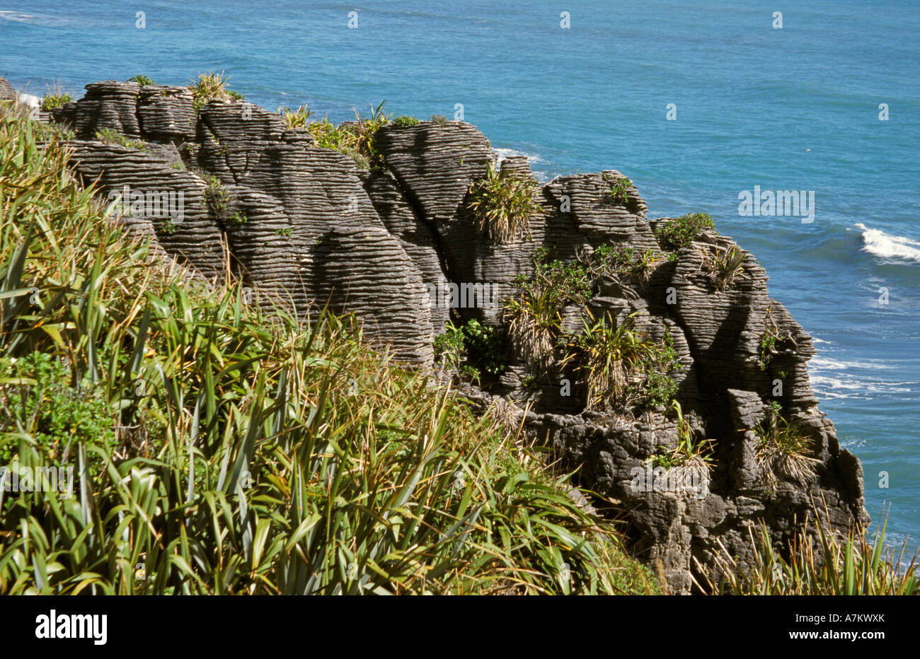 Pancake Rocks Punakaiki Nouvelle-zélande océan des couches de calcaire sculpté ressemblant à des piles de crêpes Banque D'Images