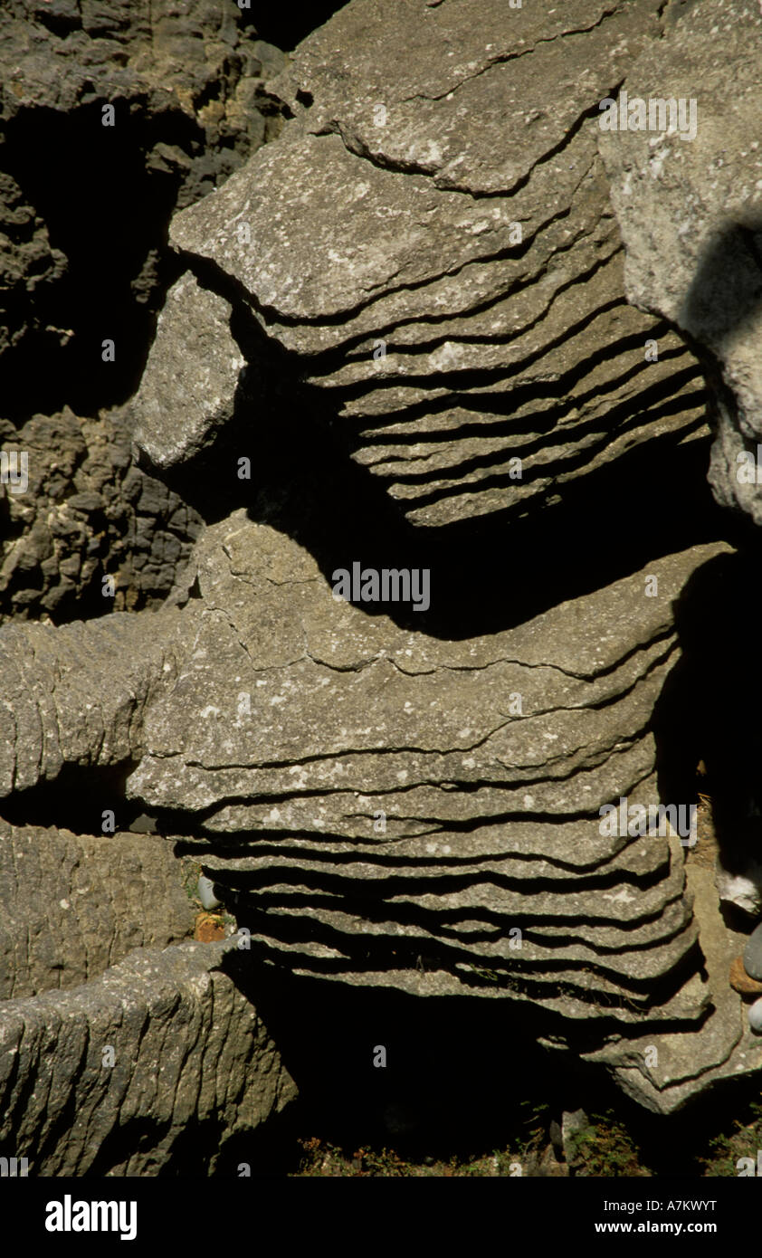 Pancake Rocks Punakaiki Nouvelle-zélande océan des couches de calcaire sculpté ressemblant à des piles de crêpes Banque D'Images