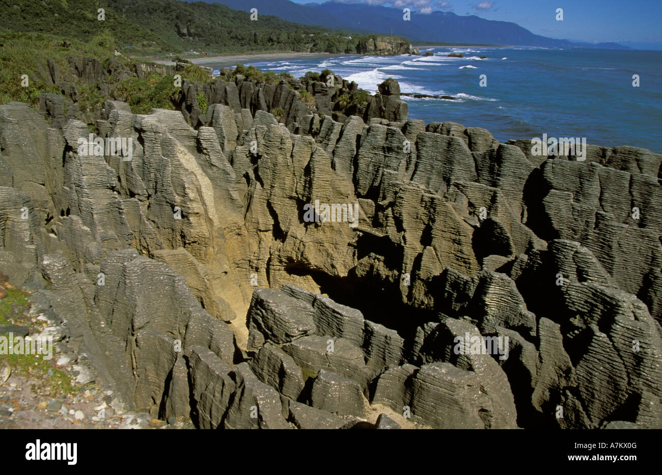 Pancake Rocks Punakaiki Nouvelle-zélande océan des couches de calcaire sculpté ressemblant à des piles de crêpes Banque D'Images