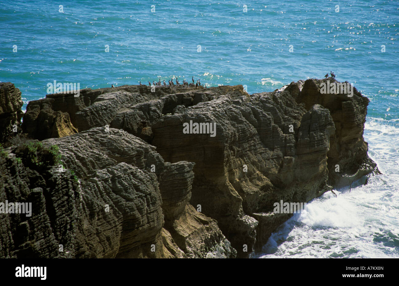 Pancake Rocks Punakaiki Nouvelle-zélande océan des couches de calcaire sculpté ressemblant à des piles de crêpes Banque D'Images
