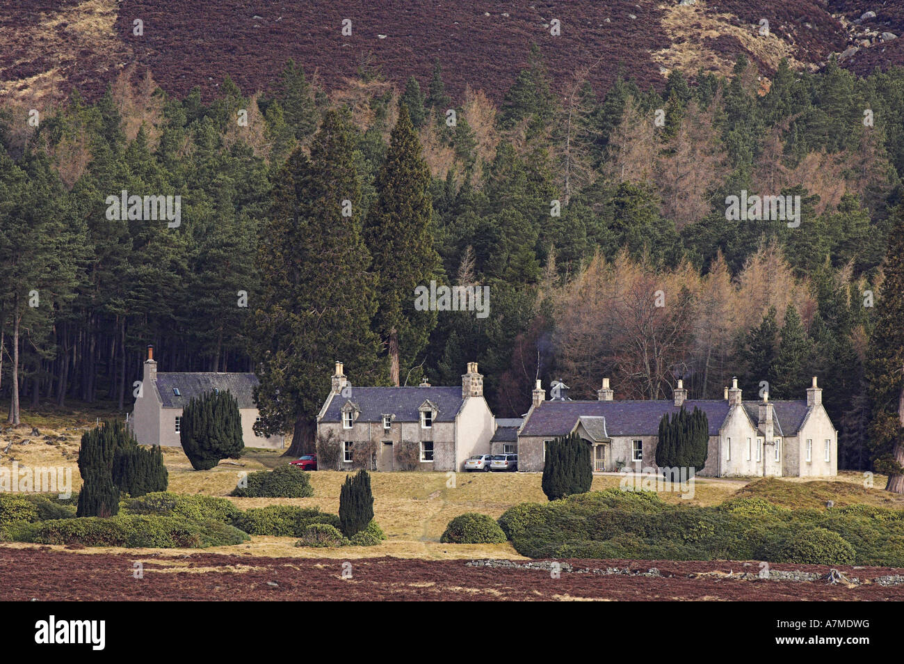 Allt na-giubhsaich Lodge de Glen Muick, Aberdeenshire, sur Balmoral Estate. Banque D'Images