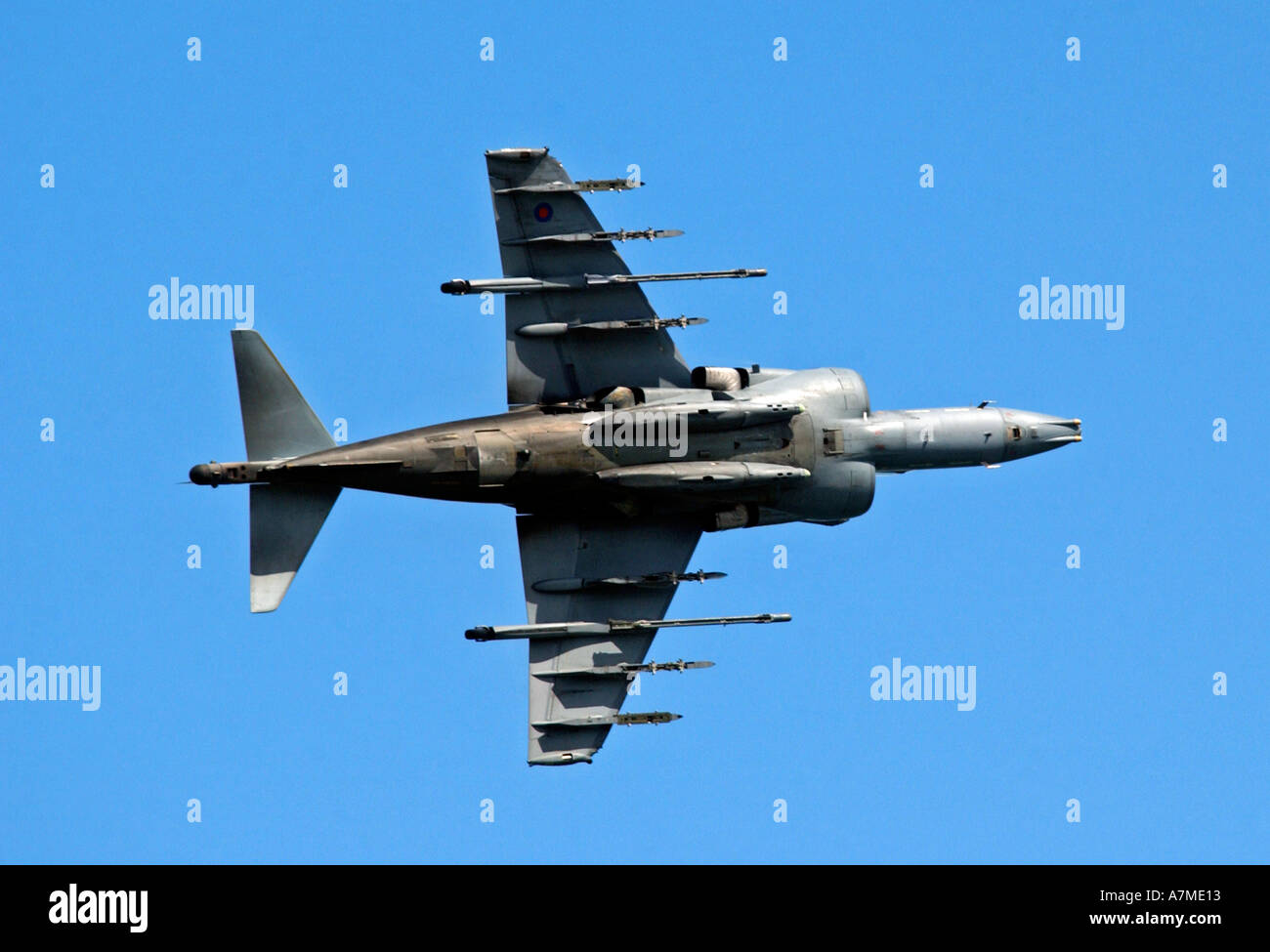 Harrier Jump Jet montrant le train en vol Banque D'Images