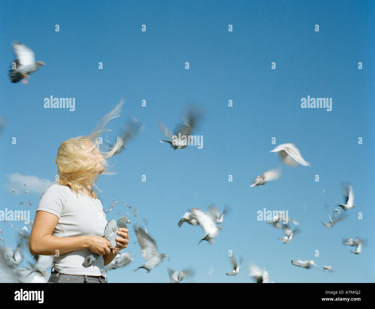 Une femme tenant un pigeon comme les autres pigeons voler autour d'elle Banque D'Images