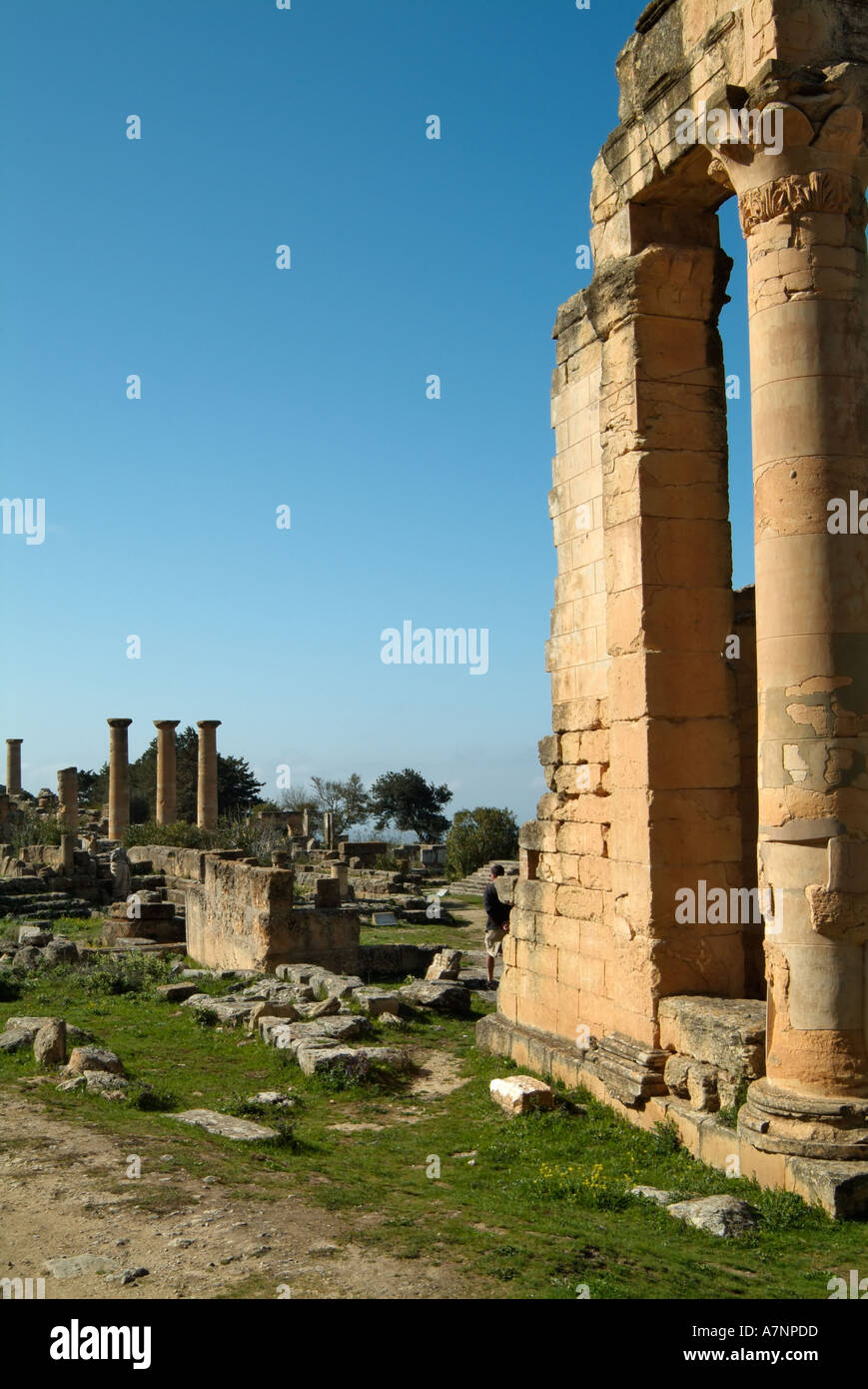 Sanctuaire d'Apollon, Cyrène grec / Roman ruins, Libye Banque D'Images