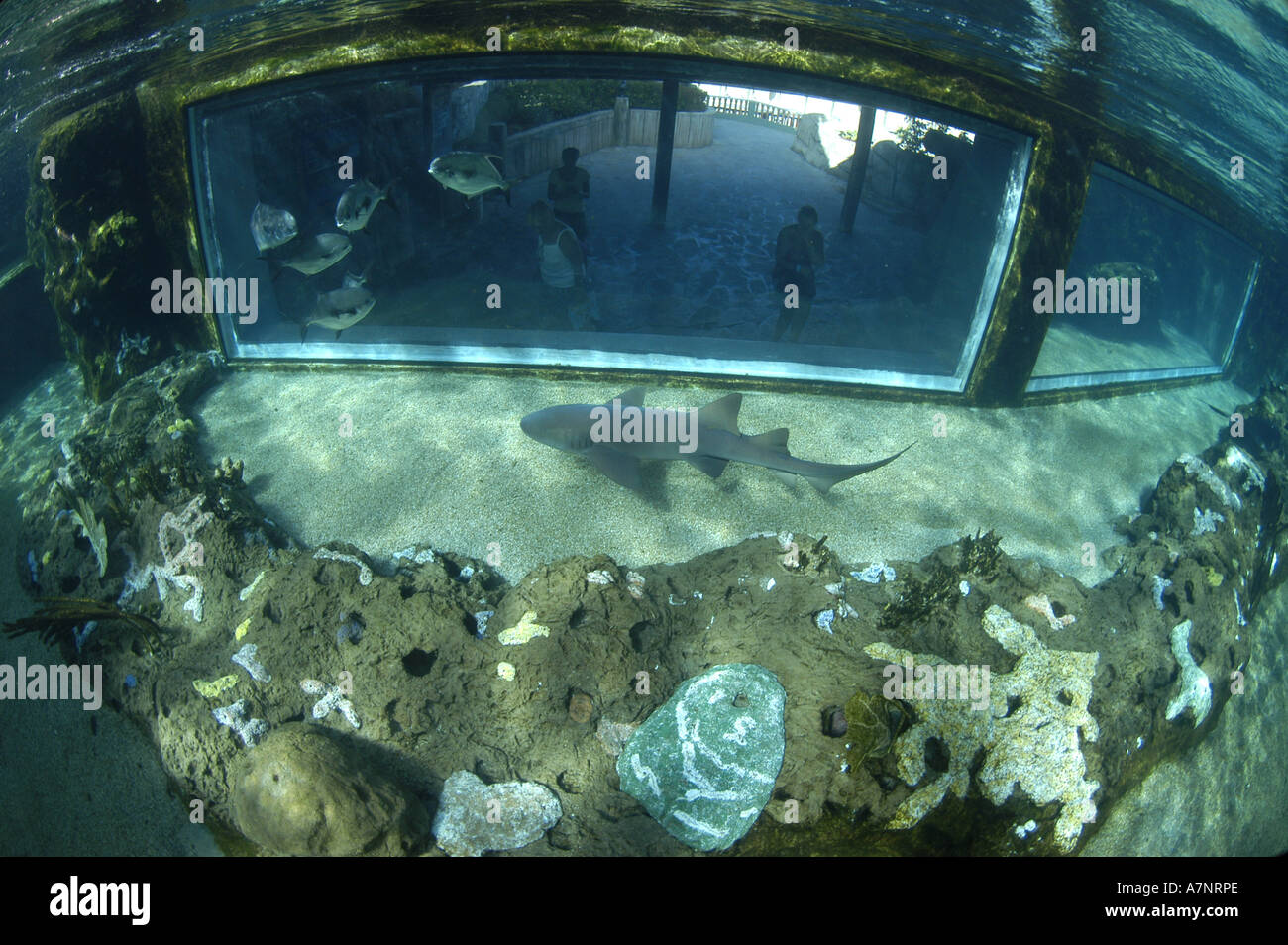 site de rencontre republique dominicaine