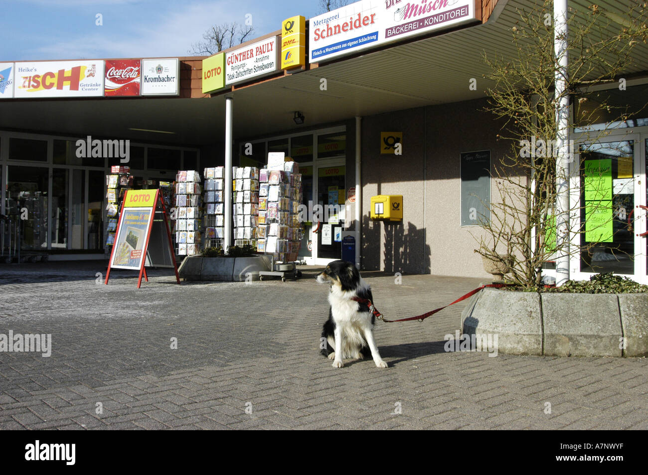 Magasins et chien Banque de photographies et d’images à haute ...