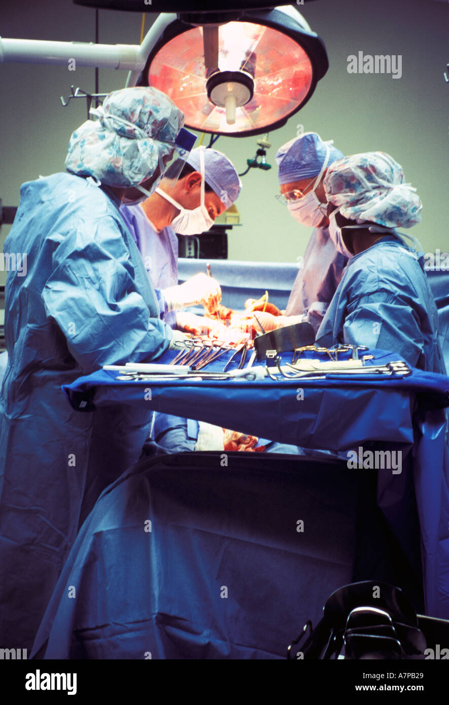 Prestation de l'équipe chirurgicale en salle d'opération de transplantation rénale Banque D'Images