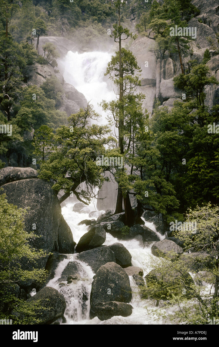 Cascade du ruisseau Cascade Yosemite National Park California USA Banque D'Images